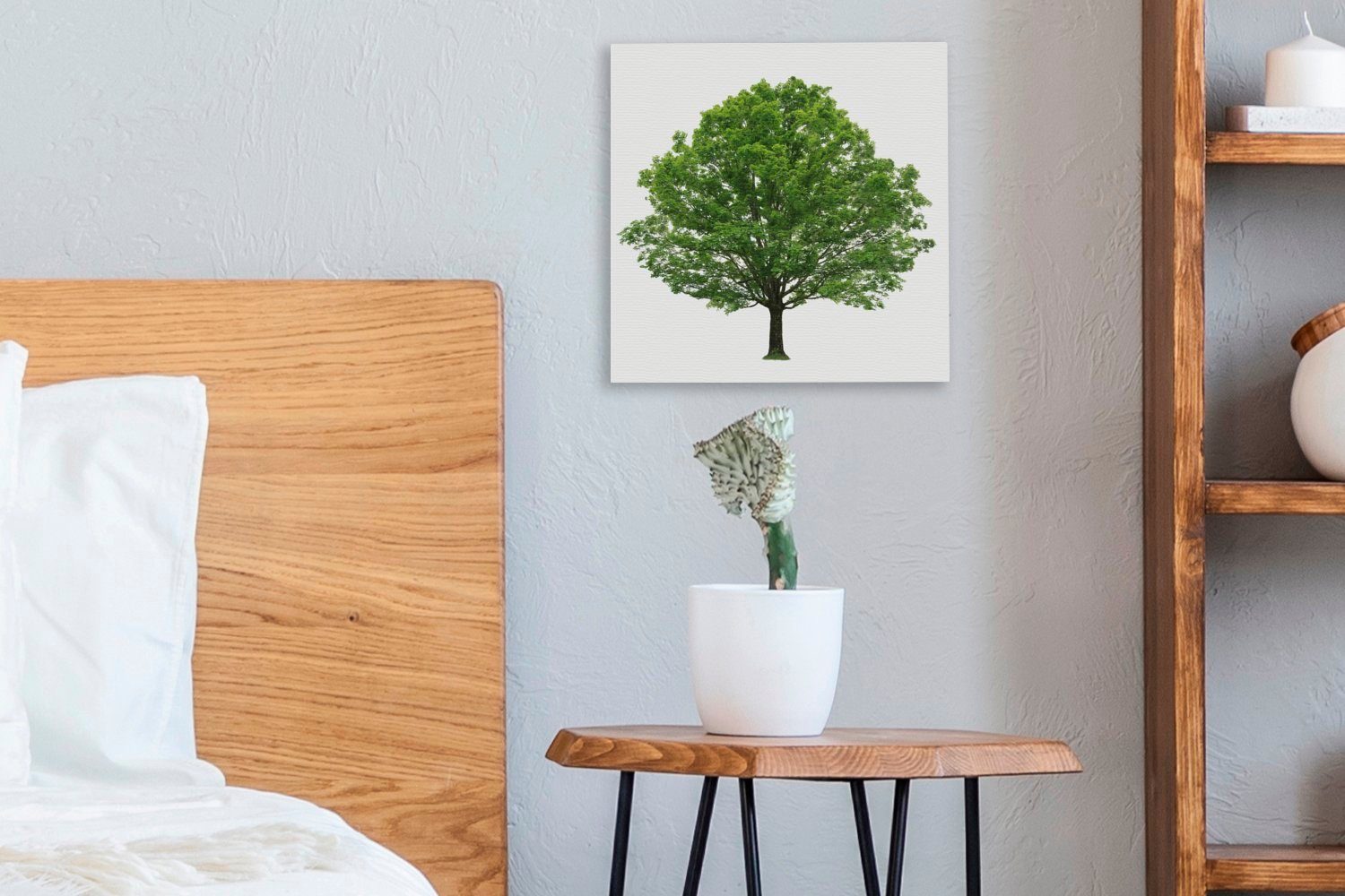 Bilder Leinwand Schlafzimmer OneMillionCanvasses® Ahornbaum für Leinwandbild weißem (1 Hintergrund, St), Wohnzimmer auf