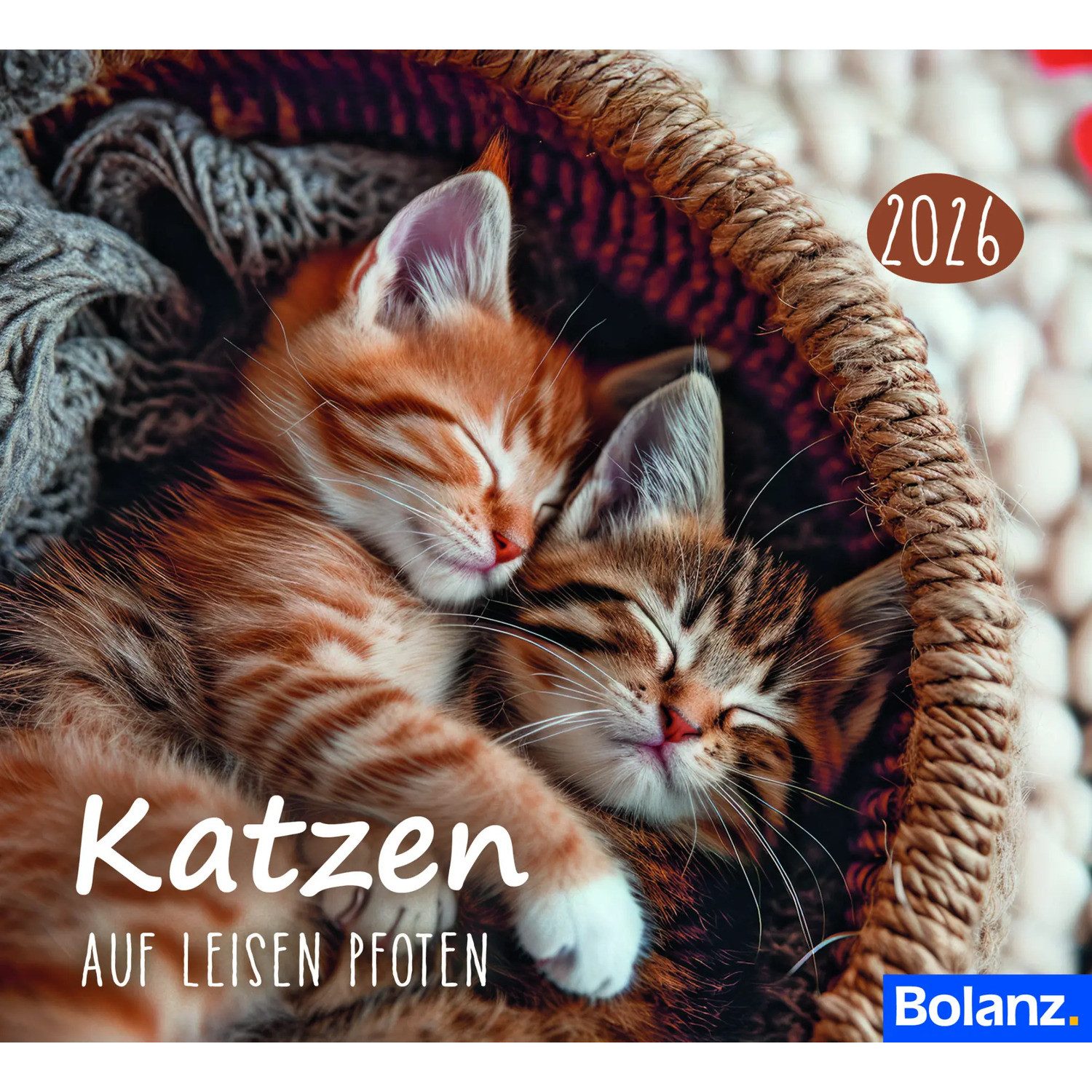Tischkalender Katzen 2026