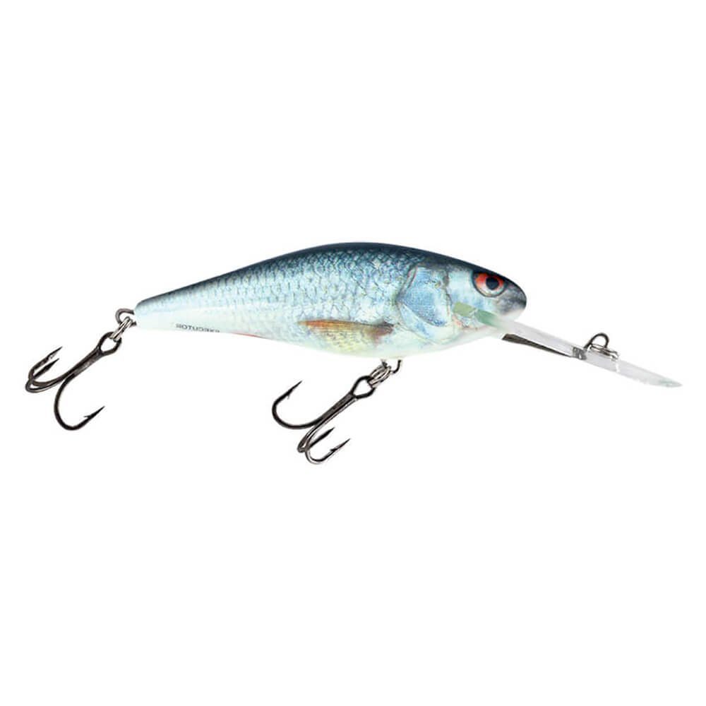 Kunstköder Salmo Executor Wobbler Deep Runner RD Real Dace