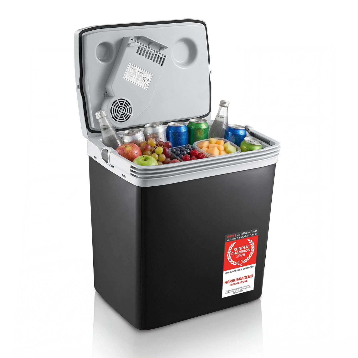 TZS FIRST AUSTRIA Elektrische Kühlbox 25L, Kühlbox, 12V /230V Anschluss, 12-V-Stecker fürs Auto, für Camping, Festivals, Reisen, mit Kühl- und Warmhaltefunktion