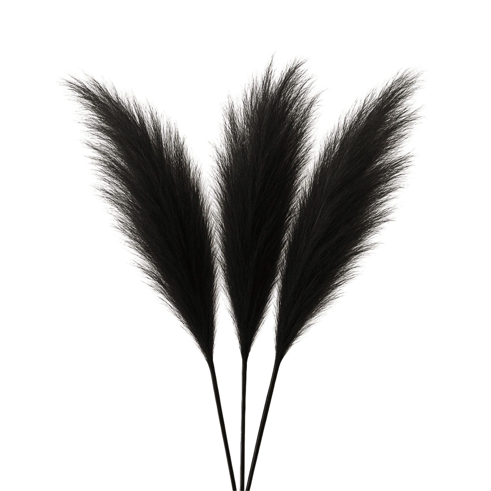 Kunstpflanze Pampasgras Deko XXL Kunstblume Pampasgras Großes Pampasgras Sc günstig online kaufen
