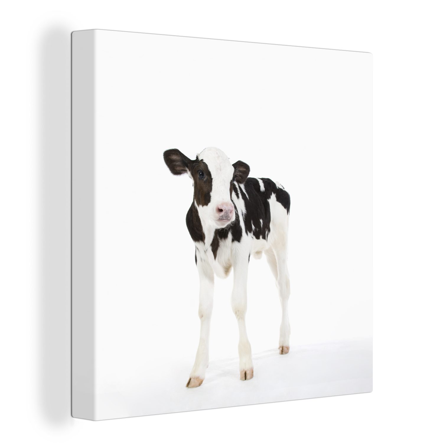 OneMillionCanvasses® Leinwandbild Kuh - Kalb - Weiß - Tiere, (1 St), Leinwand Bilder für Wohnzimmer Schlafzimmer