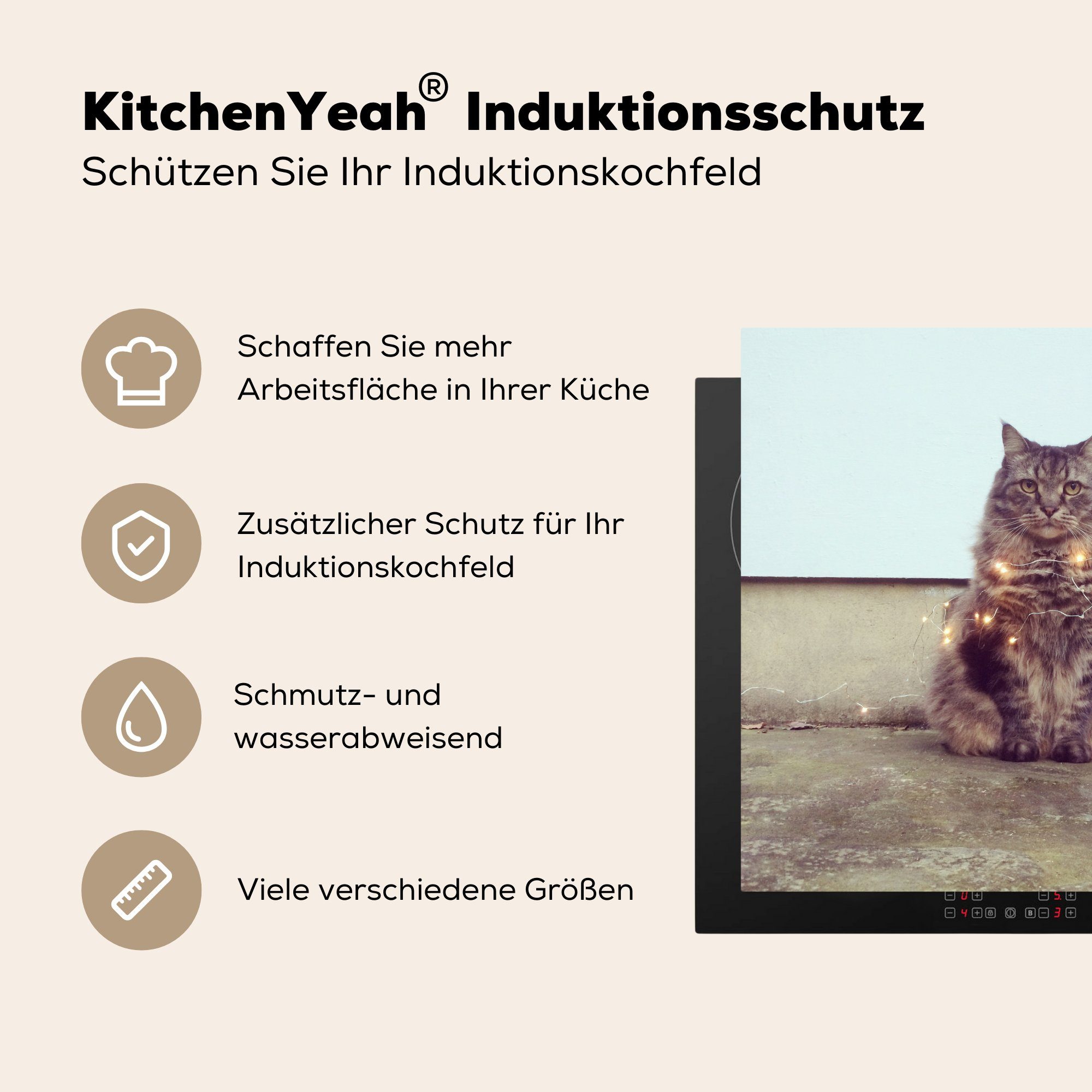 Herdblende-/Abdeckplatte Maine Katze, küche für 78x78 (1 Vinyl, Beleuchtung tlg), Arbeitsplatte Coon MuchoWow Schöne Ceranfeldabdeckung, cm, die für