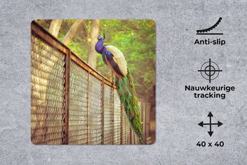 MuchoWow Gaming Mauspad Pfau - Federn - Zaun (1-St), Mousepad mit Rutschfester Unterseite, Gaming, 40x40 cm, XXL, Großes