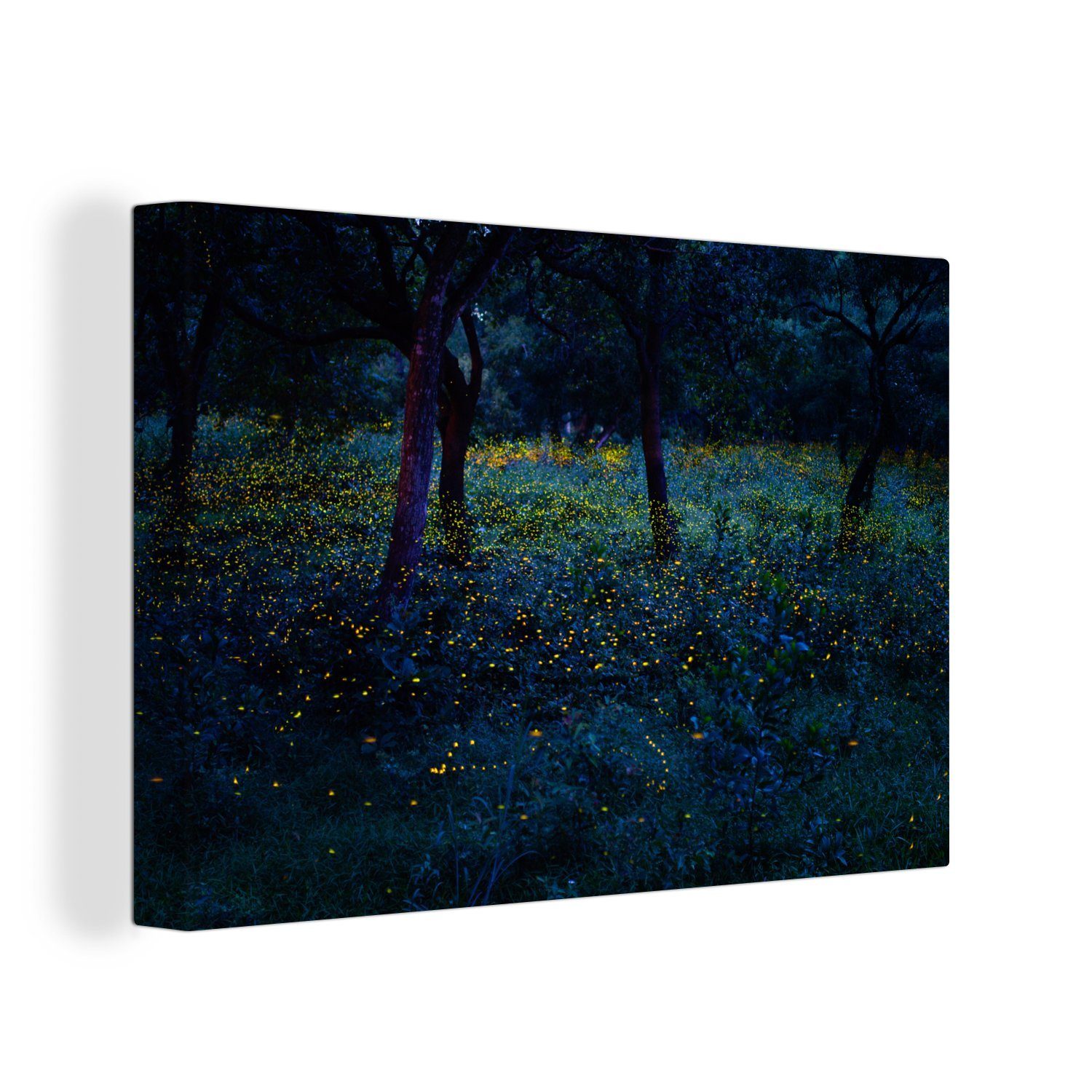 OneMillionCanvasses® Leinwandbild Wunderschöne Glühwürmchen erhellen Thailands schöne grüne Wälder, (1 St), Wandbild Leinwandbilder, Aufhängefertig, Wanddeko, 30x20 cm