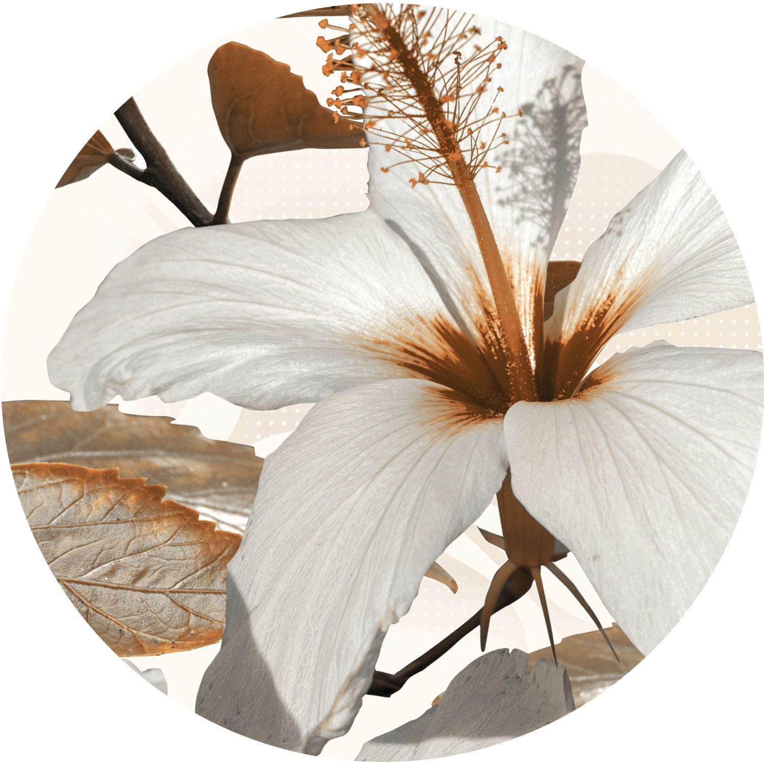 Sanders & Sanders Wandtattoo Blumen