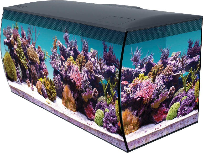 FLUVAL Aquarium FLEX MARINE, 123 l, BxTxH: 82x39x40 cm