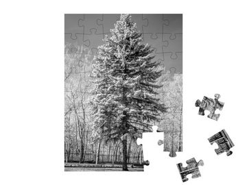 puzzleYOU Puzzle Wunderschöne alte Kiefer im Park, schwarz-weiß, 48 Puzzleteile, puzzleYOU-Kollektionen Fotokunst