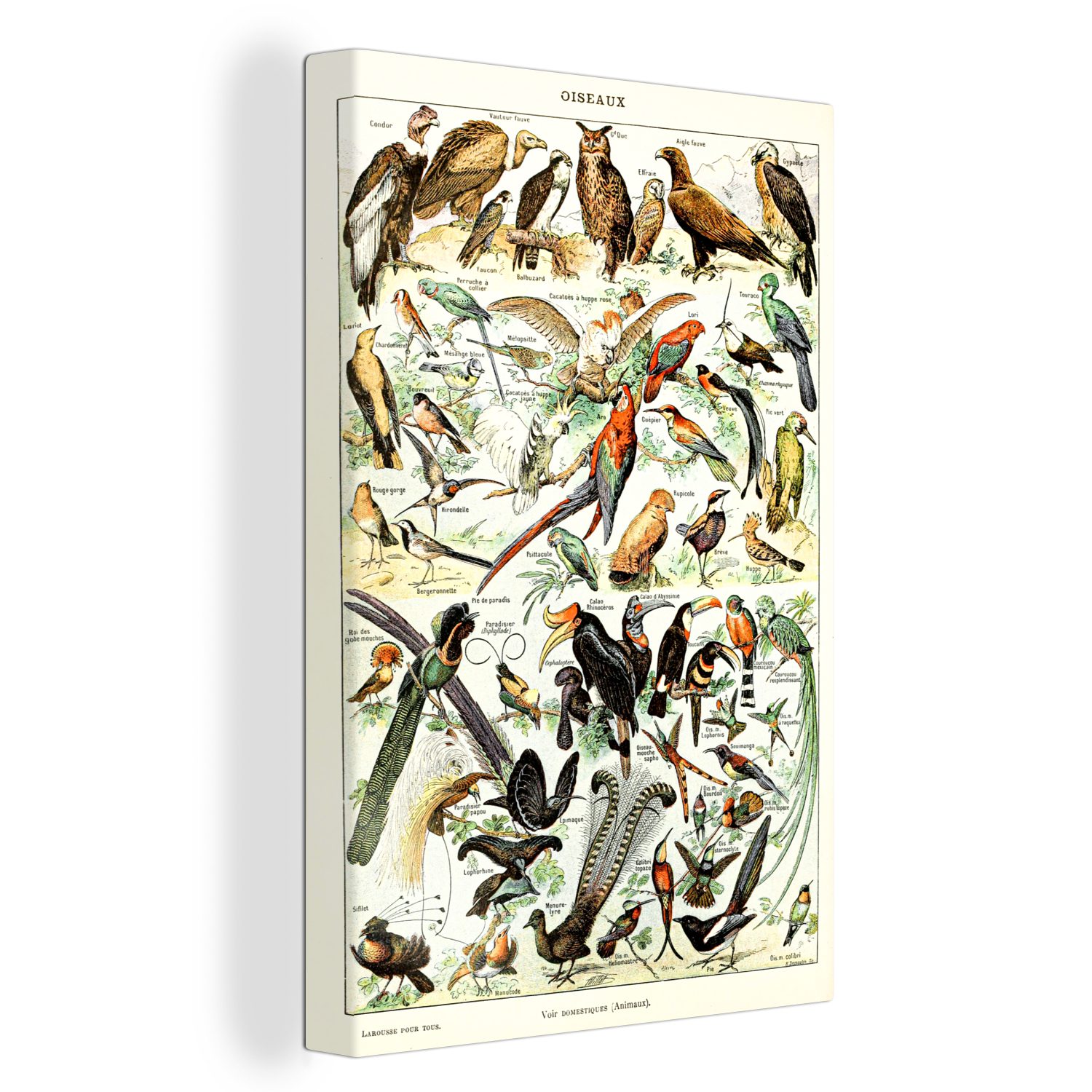 bespannt Gemälde, Natur, inkl. (1 - St), 20x30 fertig Leinwandbild OneMillionCanvasses® Vogel cm Tiere - Leinwandbild Zackenaufhänger,