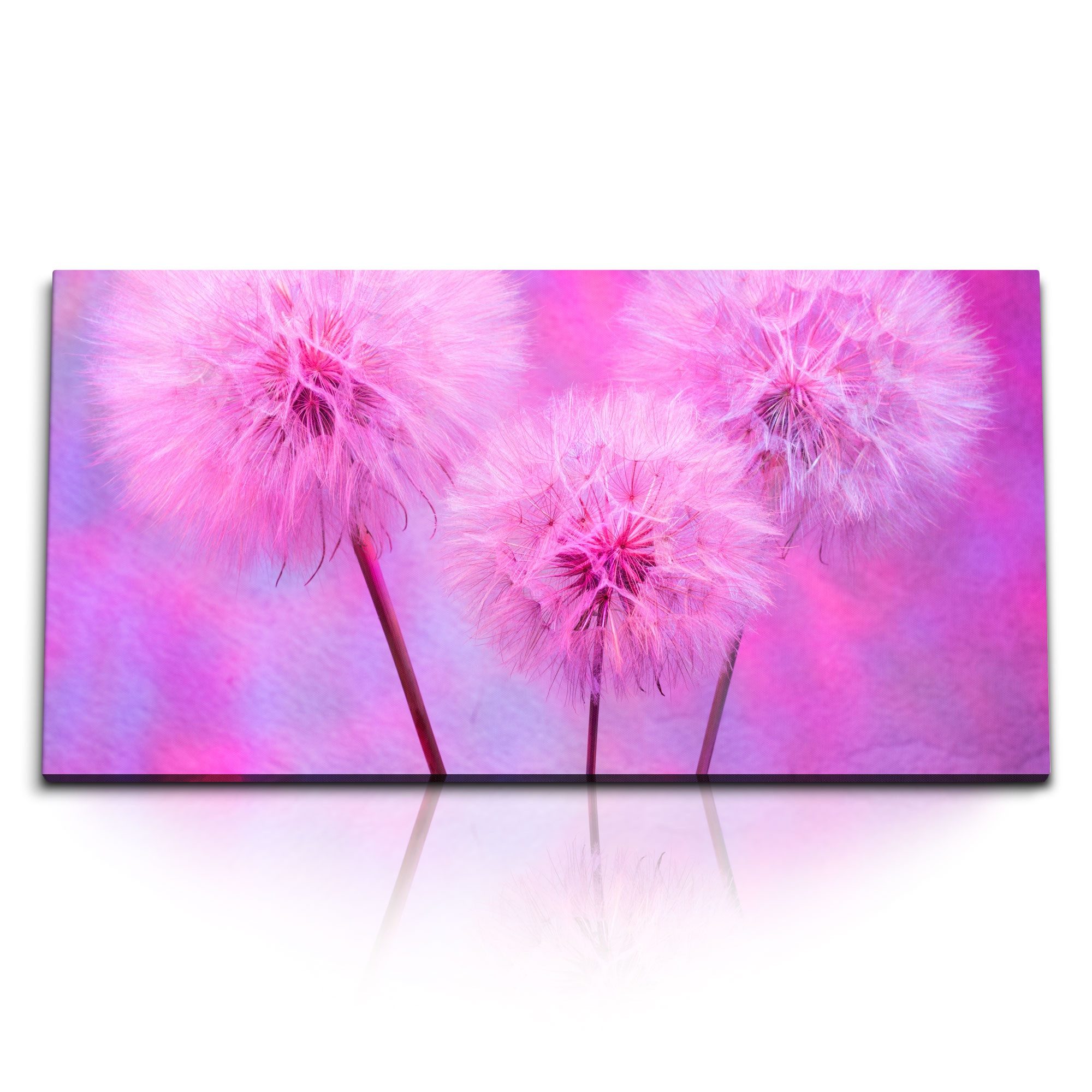Leinwandbild Kunstdruck Bilder 120x60cm Pusteblumen Rosa Kunstvoll Farbenfroh Blume