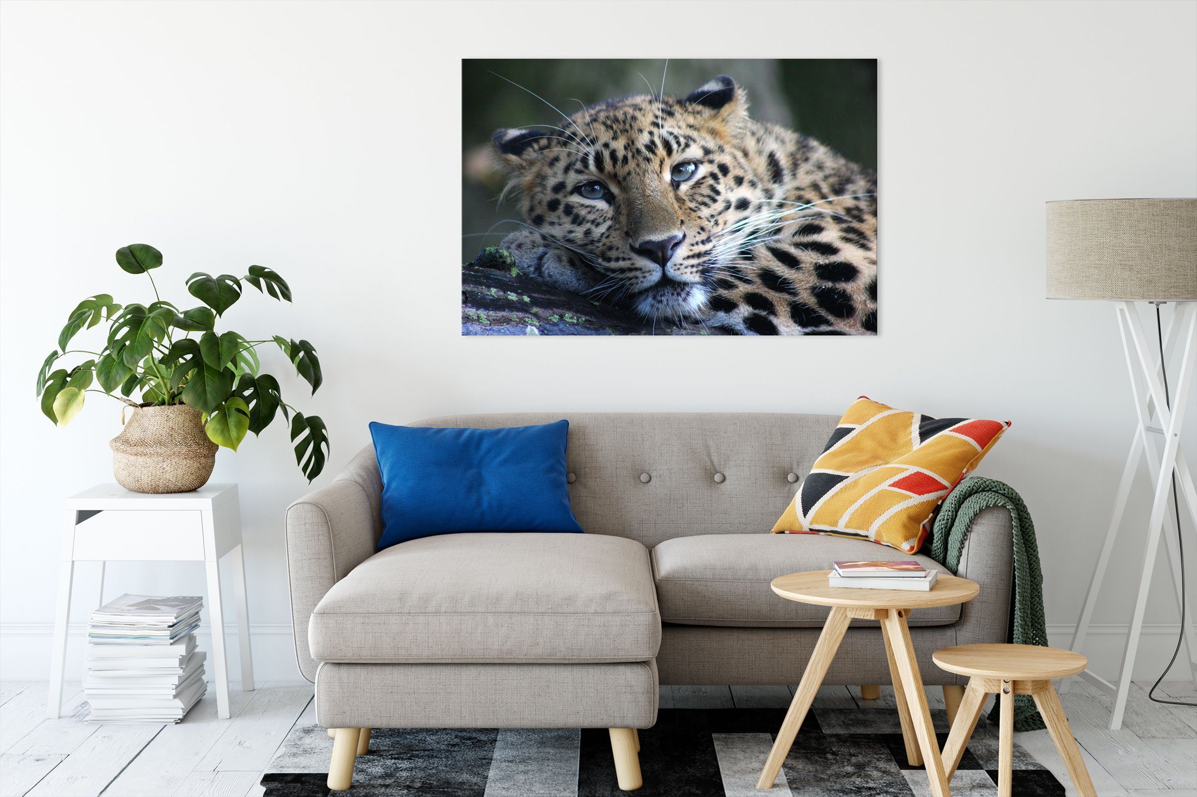 St), bespannt, Leopard Zackenaufhänger Leinwandbild Leinwandbild ruhender Leopard, inkl. Pixxprint ruhender (1 fertig