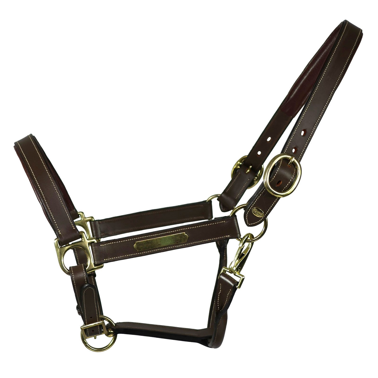 EQuest Lederhalfter Lederhalfter Inscribe für Pferde, unterlegt, mocha, L, Full/Warmblut, 100% Rindsleder
