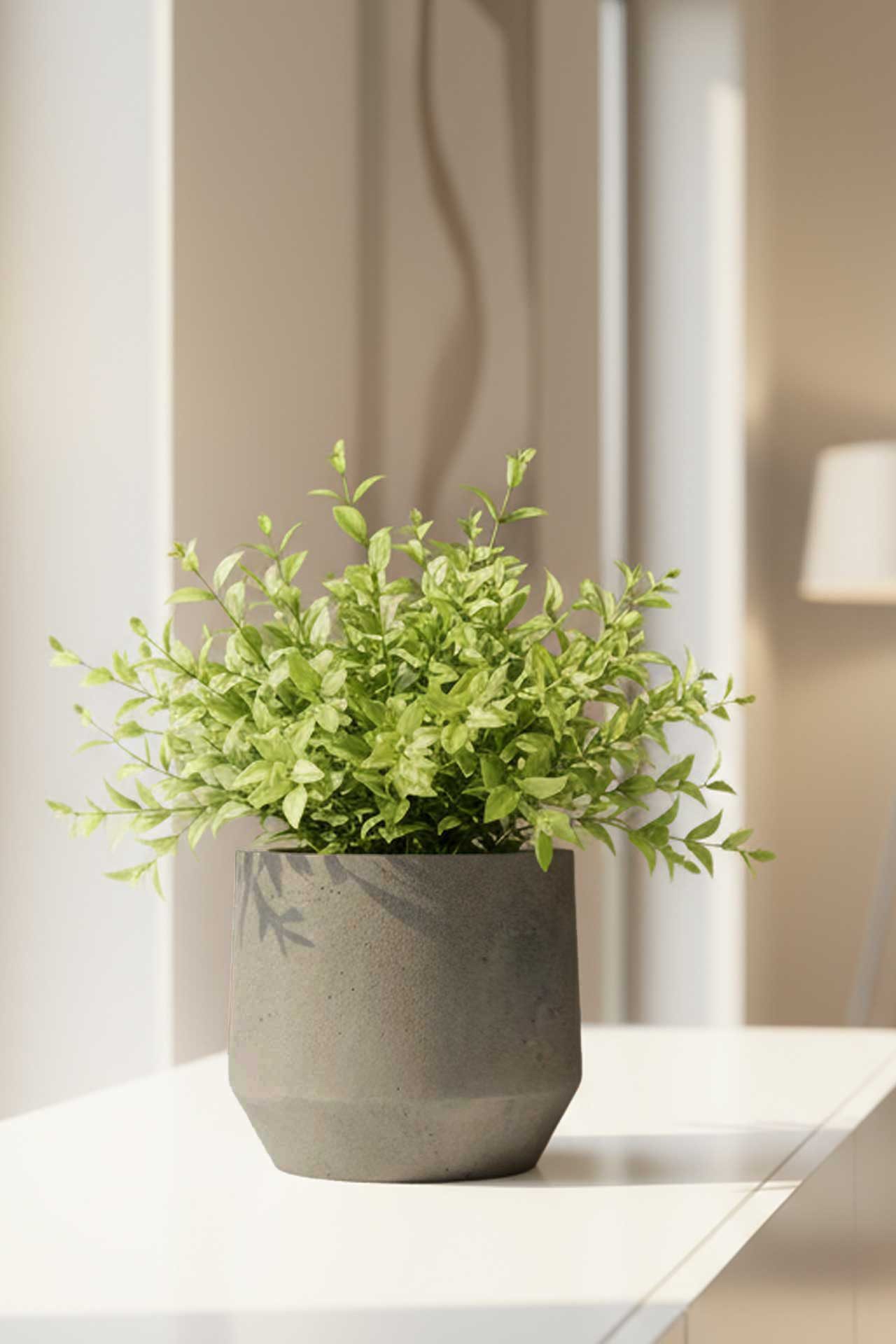VIVANNO Blumentopf Fiberglas NEXORA Rund - Vesuvgrau Beton-Design (1 St), 31x28 cm