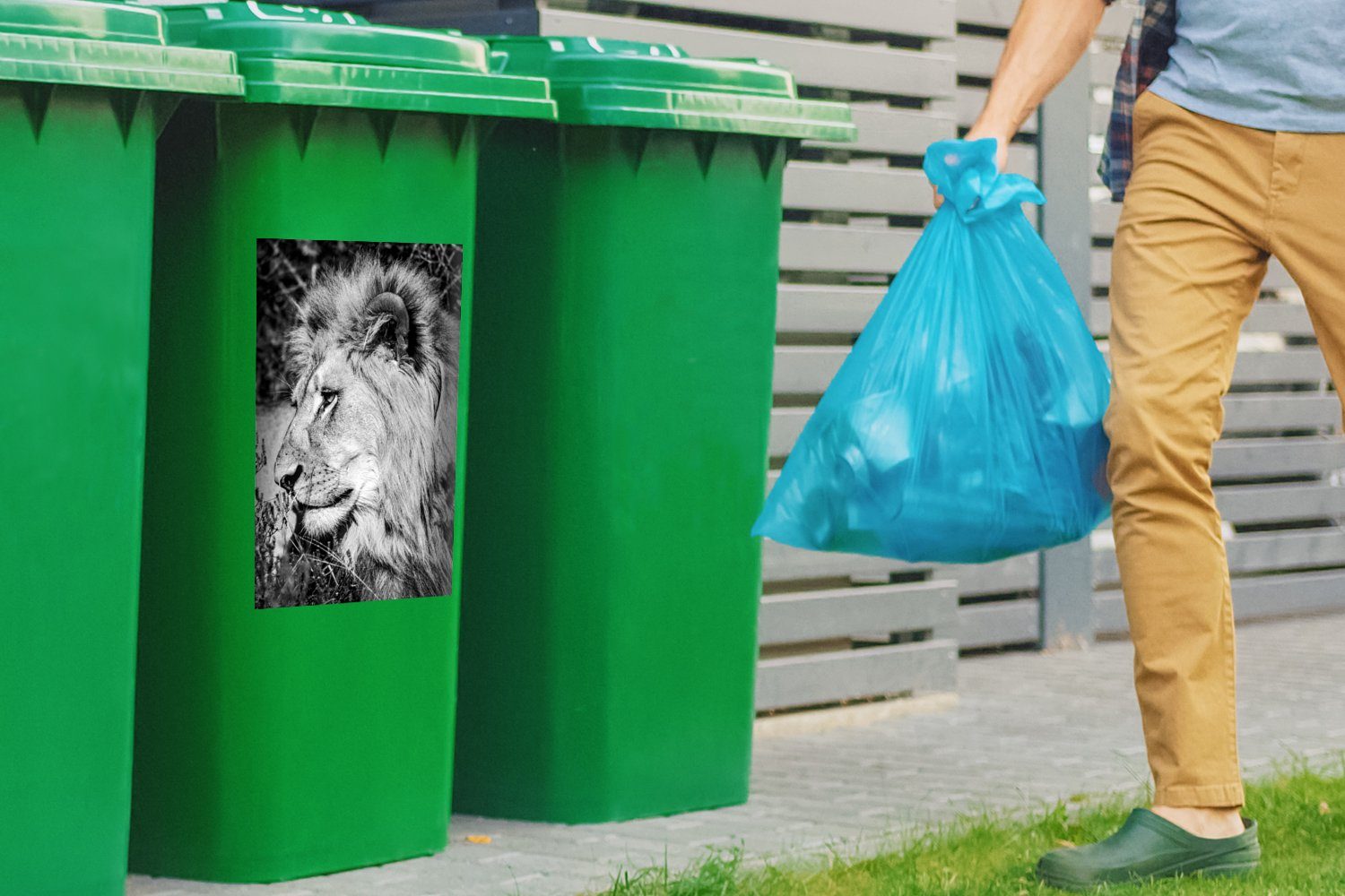 Tiere (1 Wandsticker - MuchoWow Löwe Abfalbehälter Mülleimer-aufkleber, St), Wild - Sticker, Mülltonne, Container,