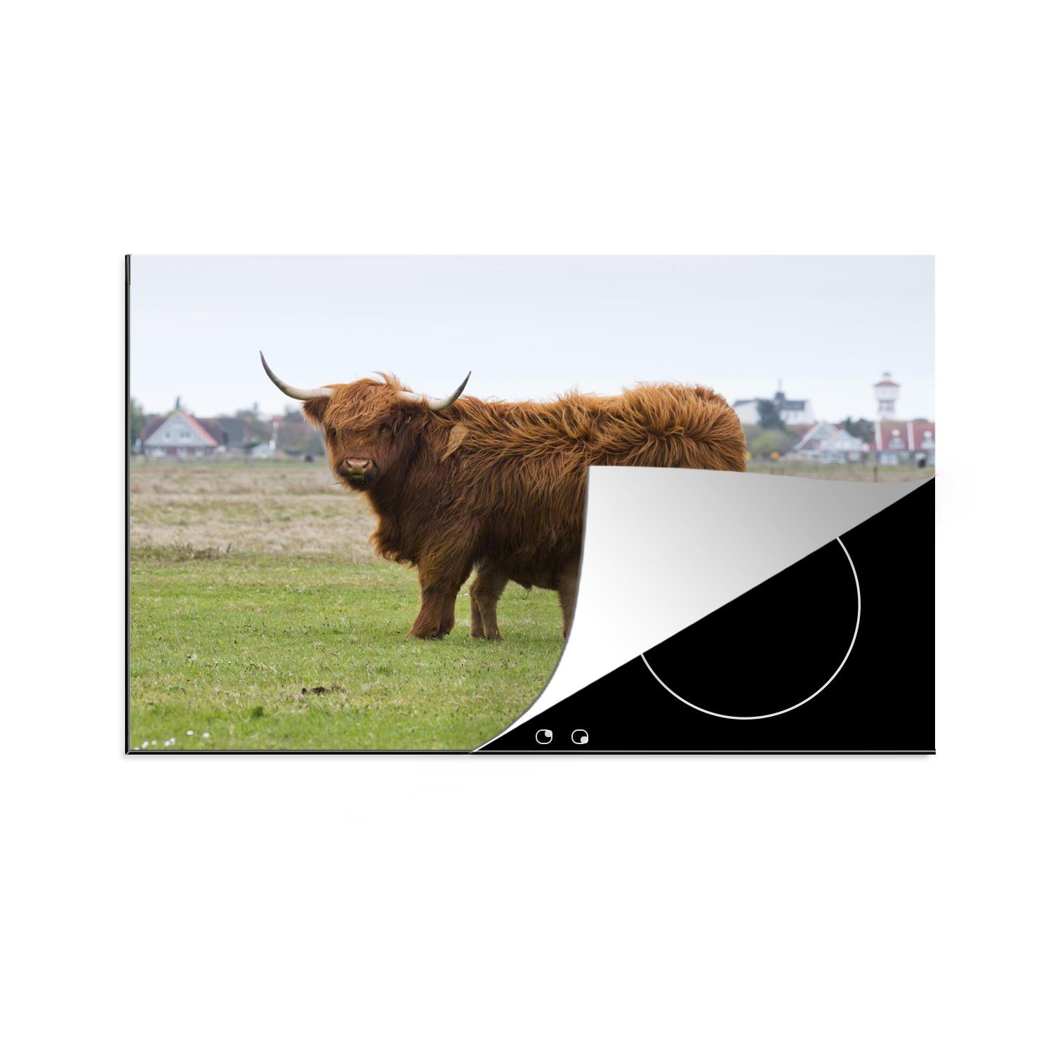 MuchoWow Herdblende-/Abdeckplatte Schottischer Highlander - Kuh - Gras, Vinyl, (1 tlg), 81x52 cm, Induktionskochfeld Schutz für die küche, Ceranfeldabdeckung