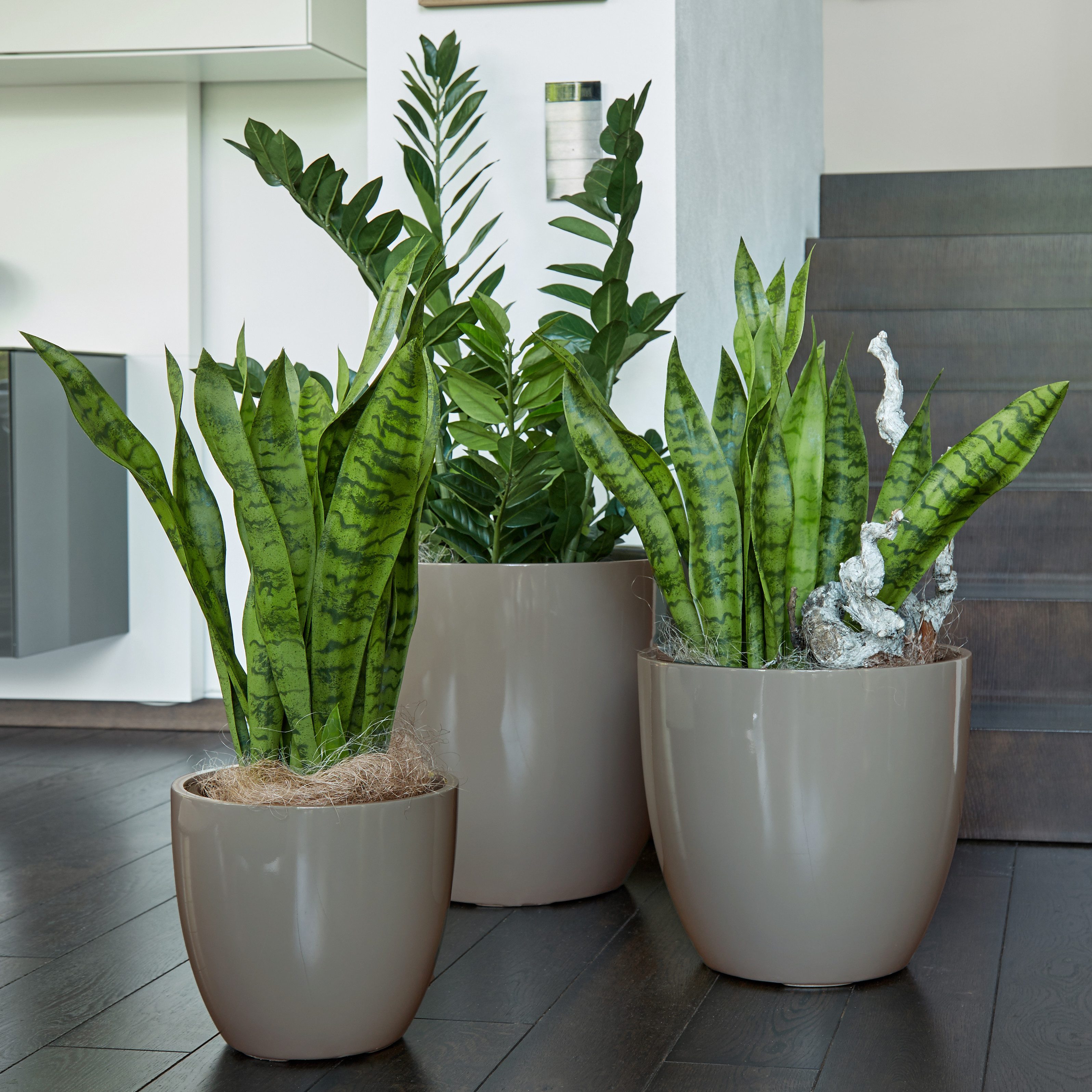 Flingora Pflanzkübel Faye, mit Einsatz - Fiberglas - Indoor & Outdoor - Tau günstig online kaufen