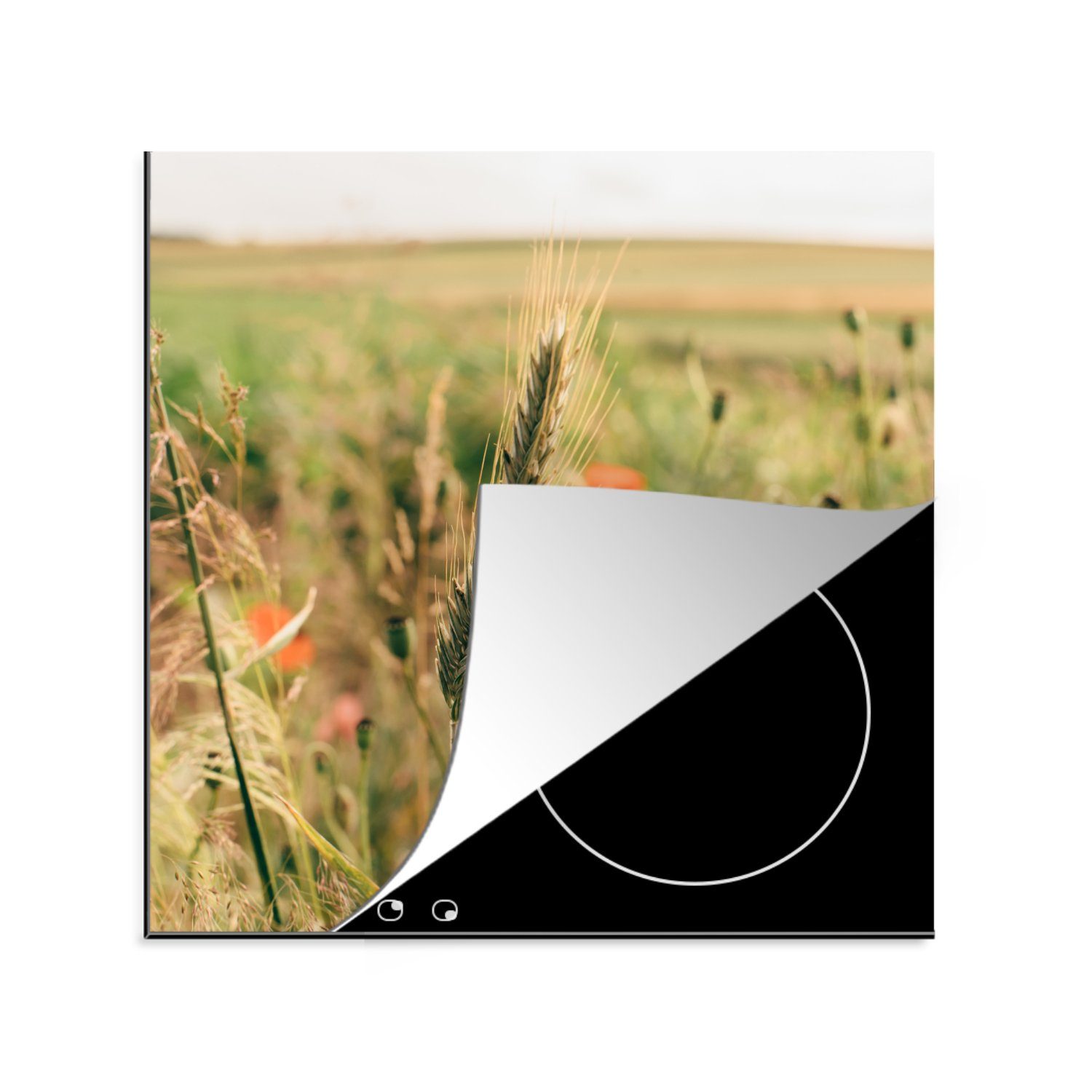 MuchoWow Herdblende-/Abdeckplatte Schilf - Blumen - Natur, Vinyl, (1 tlg), 78x78 cm, Ceranfeldabdeckung, Arbeitsplatte für küche