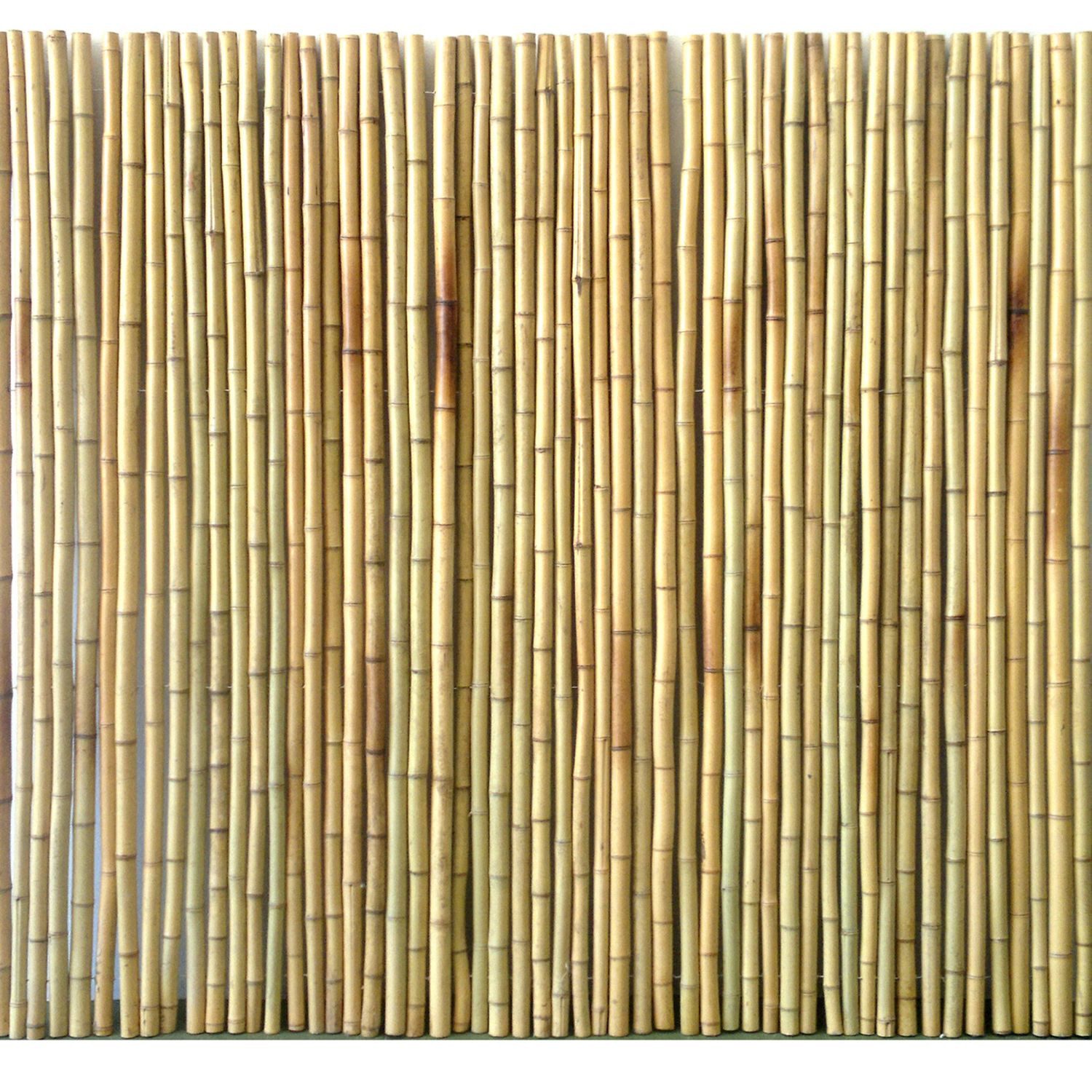 INNA-Glas Sichtschutzelement Sichtschutzmatte JONAH, aus Bambusrohren, naturfarben, 250x100cm