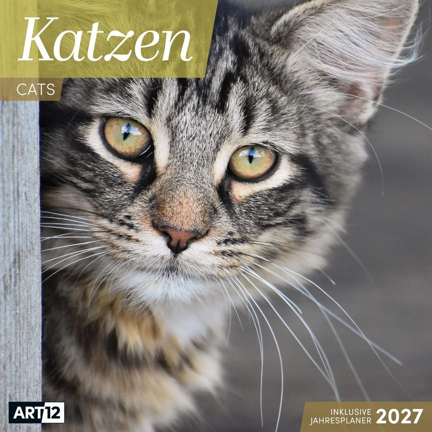 Ackermann Wandkalender Katzen Kalender 2027 - 30x30 - Art12