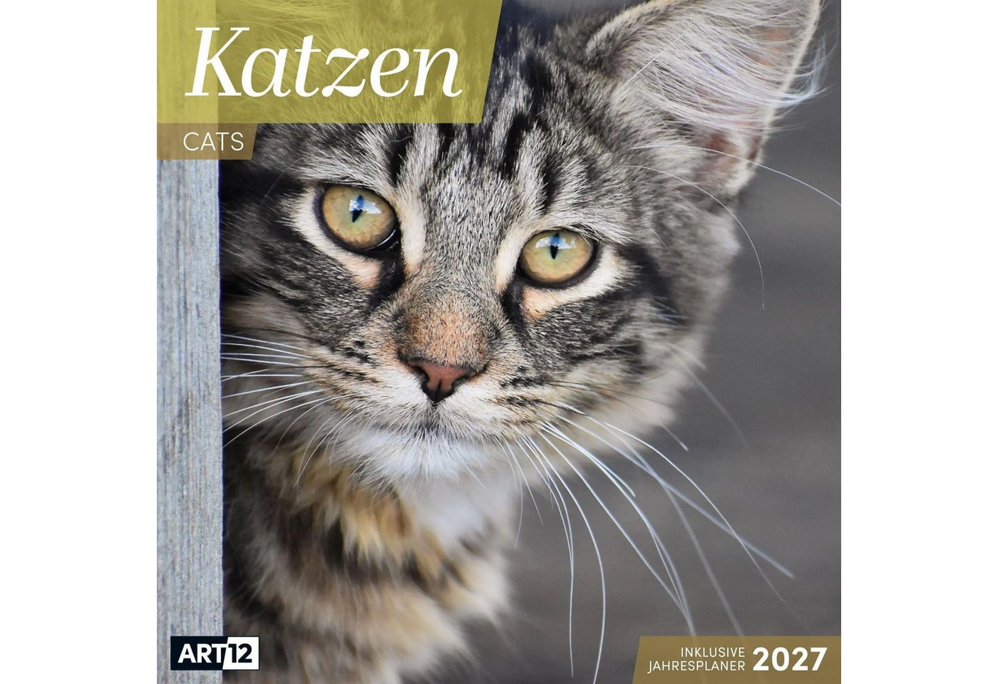 Ackermann Wandkalender Katzen Kalender 2027 - 30x30 - Art12