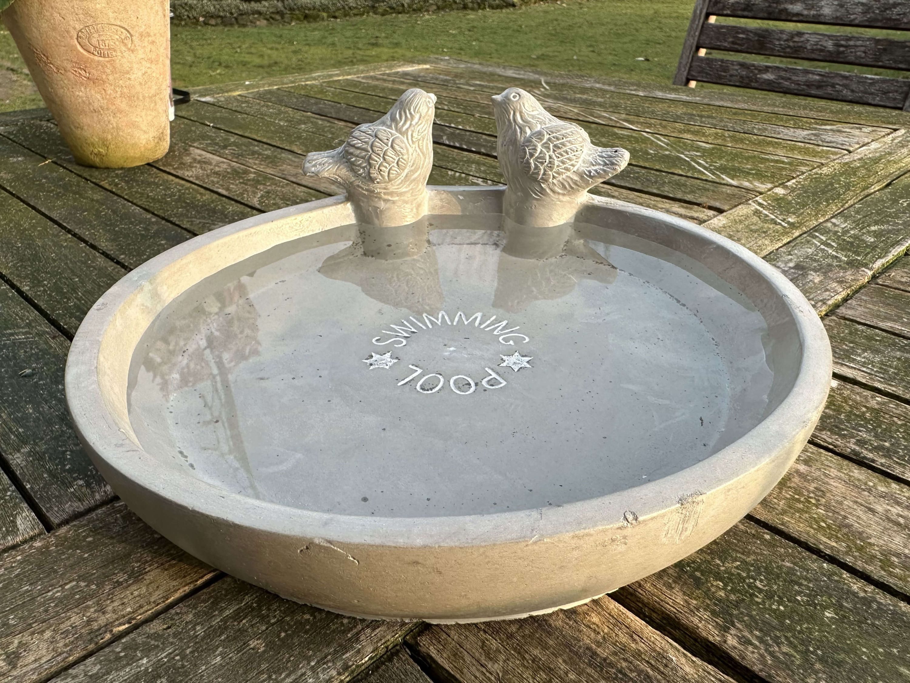 Dekowunder Vogeltränke Vogeltränke SWIMMING POOL - günstig online kaufen