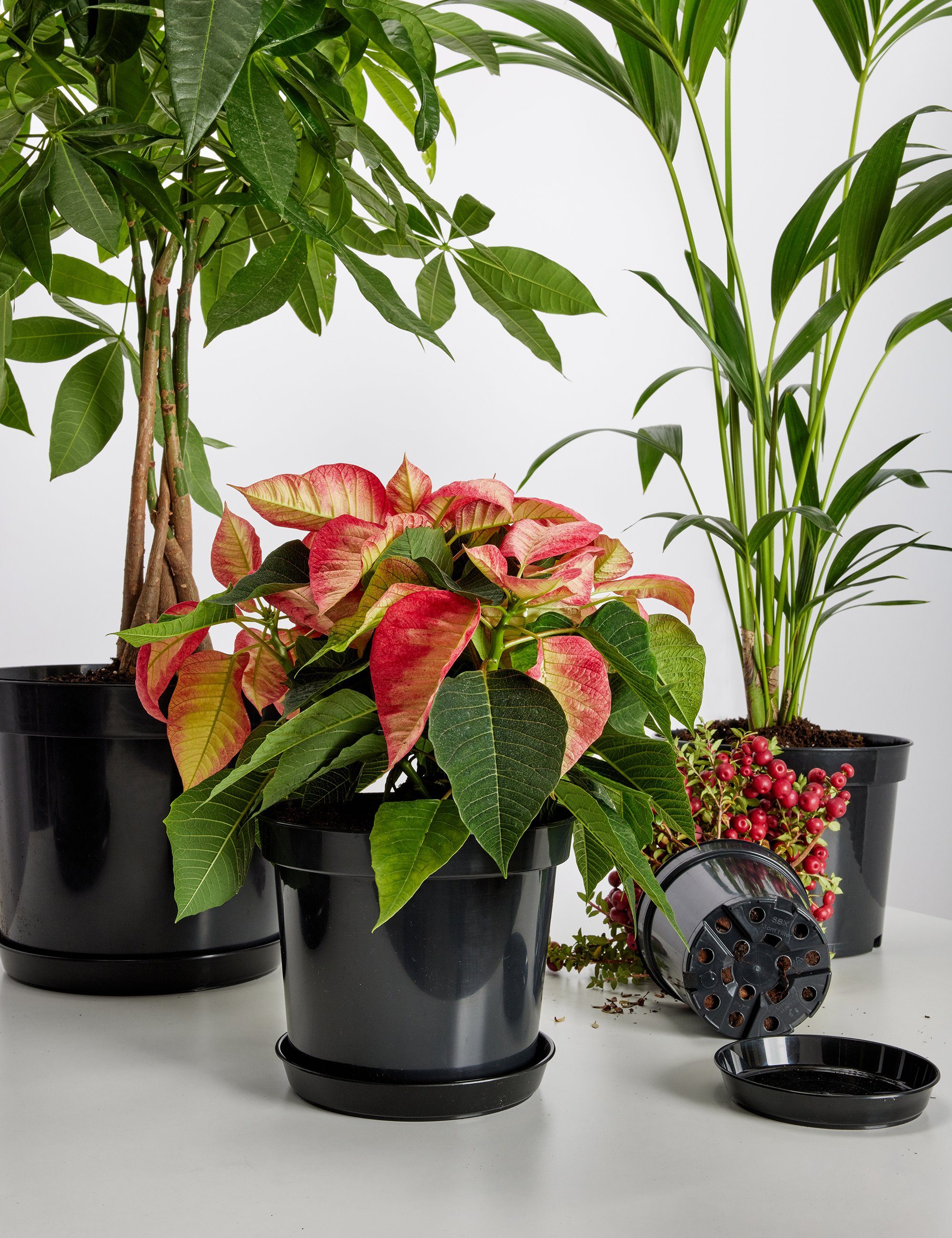 Garronda Blumentopf Kunststoff rund Pflanztopf Kräutertopf Anzuchttopf für Garten GD-0025 (20 St) – Bild 5 von 5
