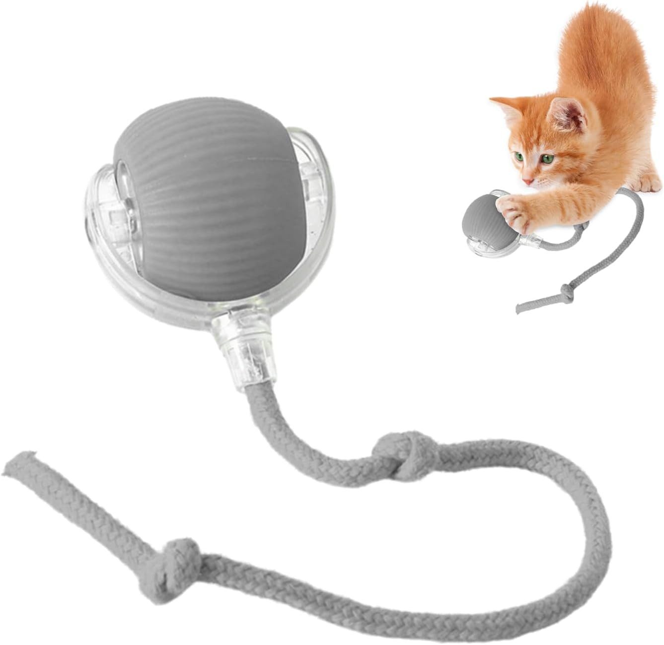 RWEUOQ Tier-Intelligenzspielzeug Katzen- und Hundespielzeug, Interaktives günstig online kaufen