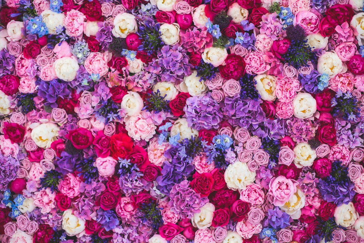 Fototapete Blumen