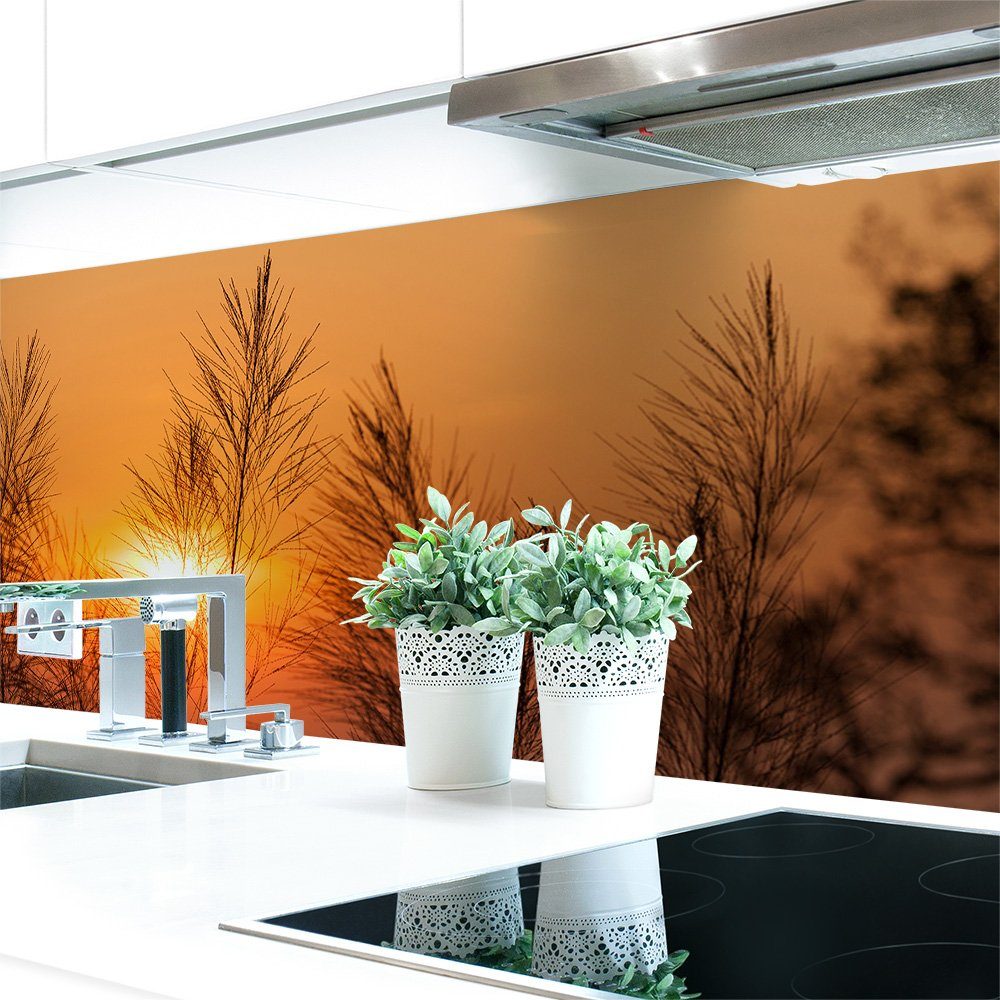 DRUCK-EXPERT Küchenrückwand Küchenrückwand Sonnenuntergang Schilf Premium Hart-PVC 0,4 mm selbstklebend