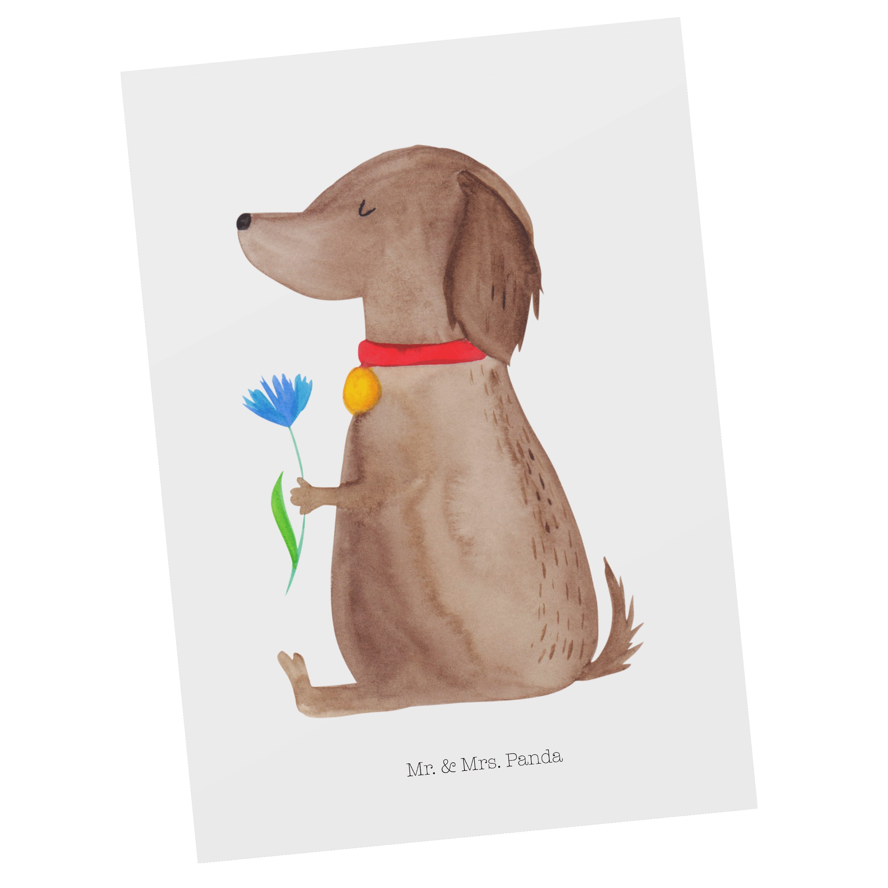 Mr. & Mrs. Panda Postkarte Hund Blume - Weiß - Geschenk, Hundemama, Hundemotiv, Hundespruch, Hau