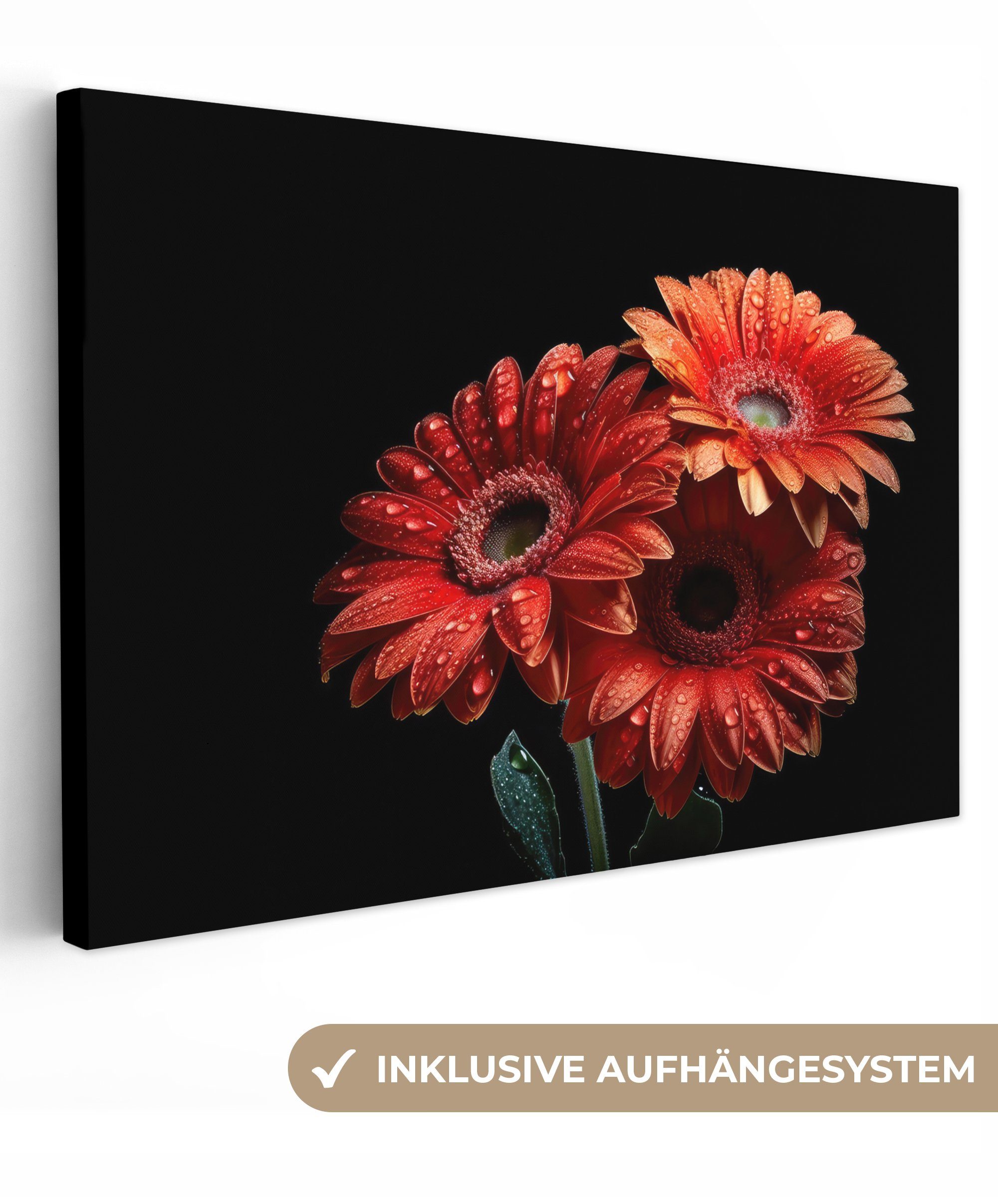 OneMillionCanvasses® Leinwandbild Blumen - Botanisch - Rot - Gerbera - Natur, (1 St), Wandbild Leinwandbilder, Aufhängefertig, Wanddeko, 30x20 cm
