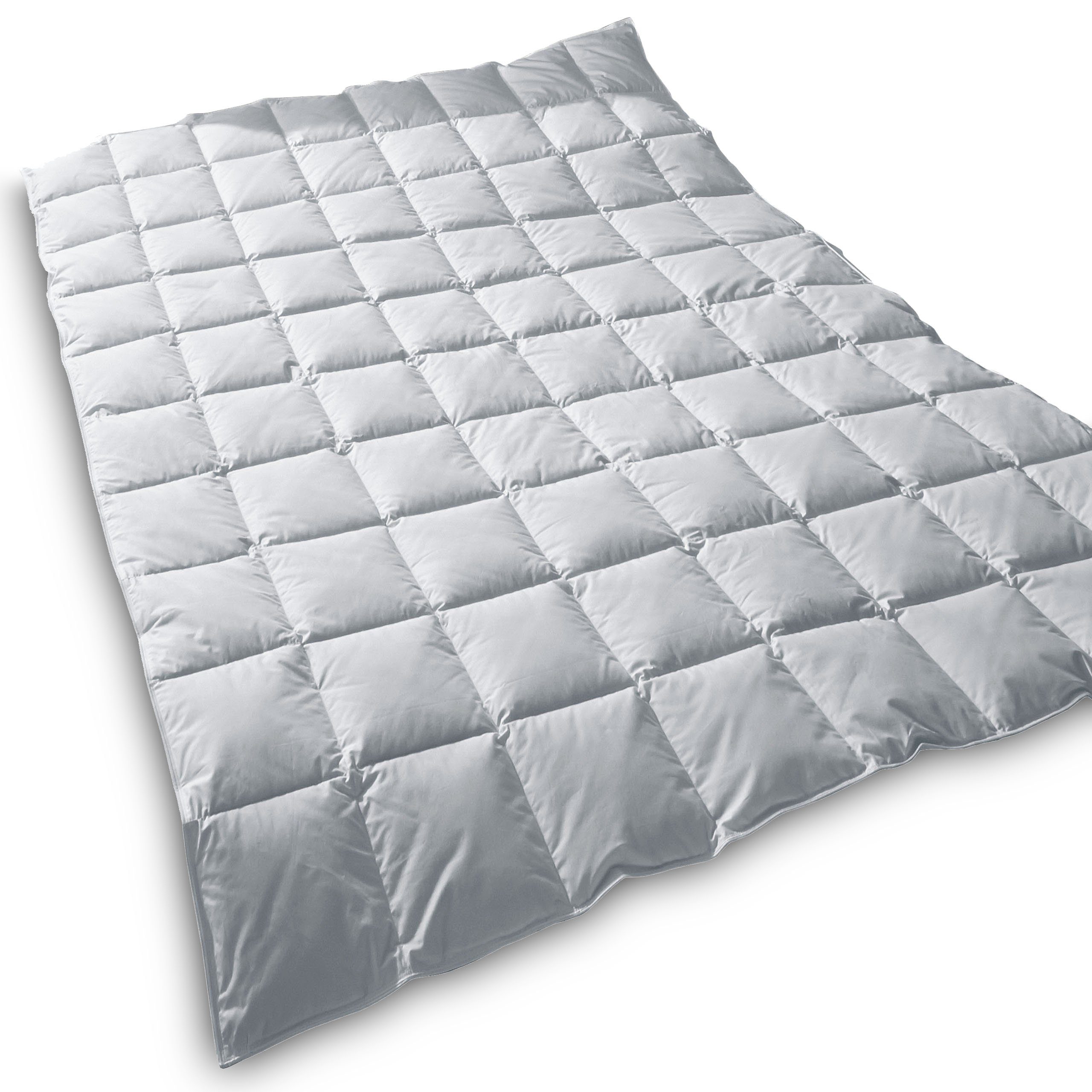 TraumDaune Daunenbettdecke Typ EIDER Premium Sommerdecke günstig online kaufen