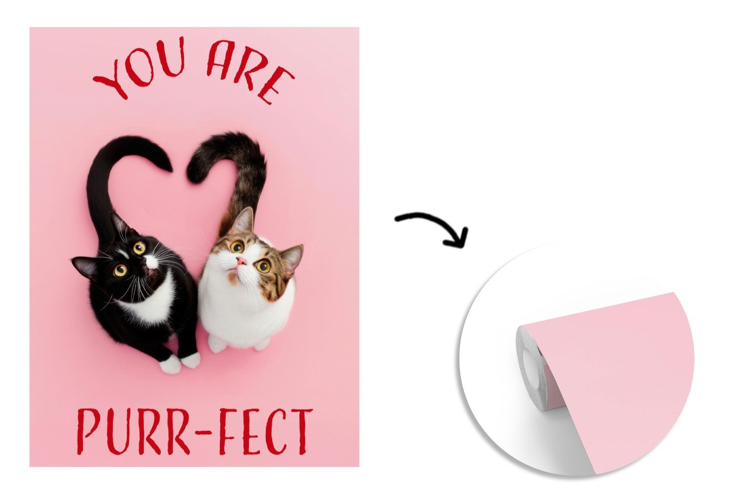 MuchoWow Fototapete Katze - Herz - Text - Valentinstag, Matt, bedruckt, Wallpaper für Wohnzimmer, Schlafzimmer, Vinyl Tapete, 165x220 cm