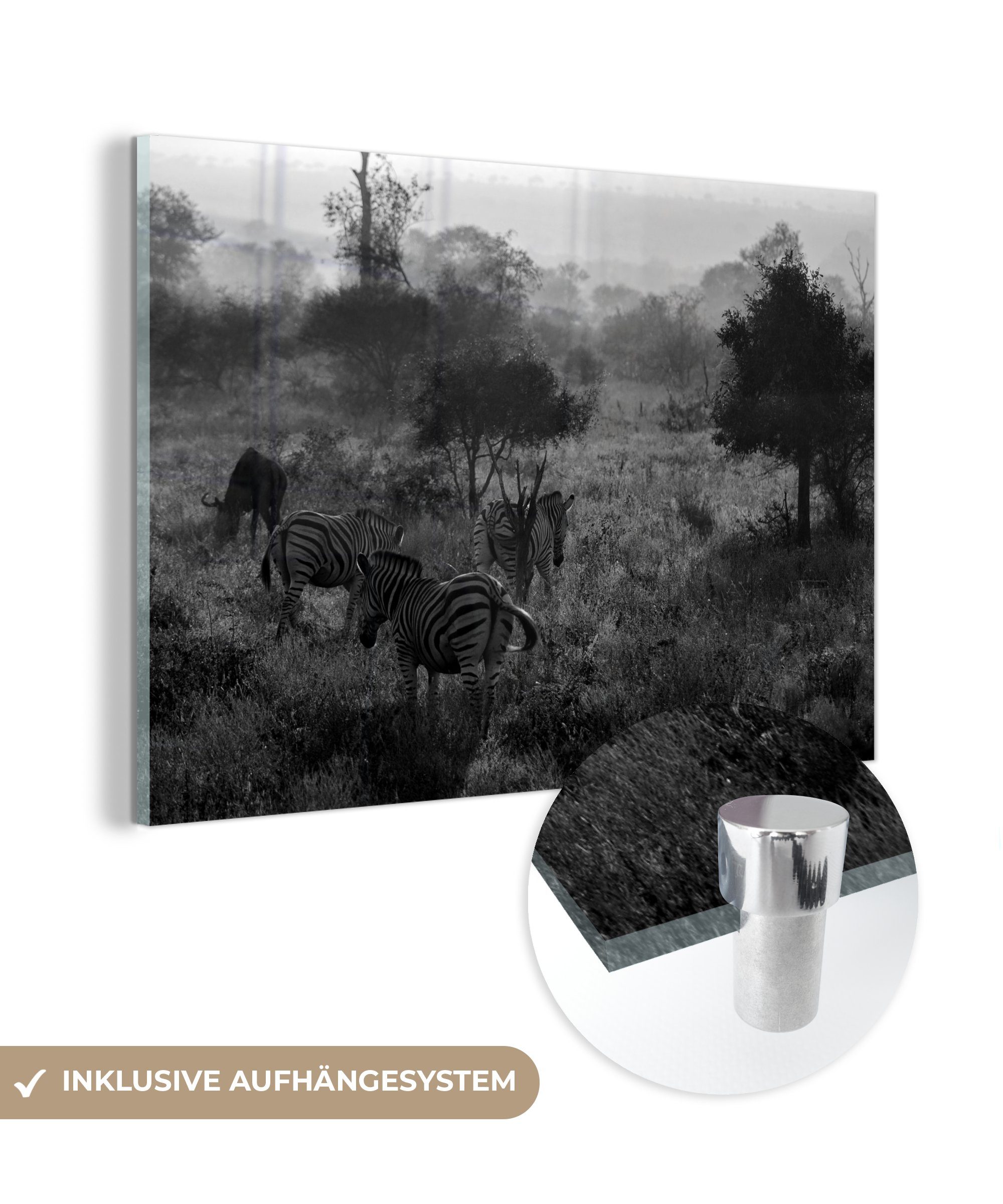 MuchoWow Acrylglasbild Nebliger Morgen im Südafrika und weiß, - Acrylglasbilder Krügerpark (1 in Wohnzimmer Schlafzimmer schwarz St), &