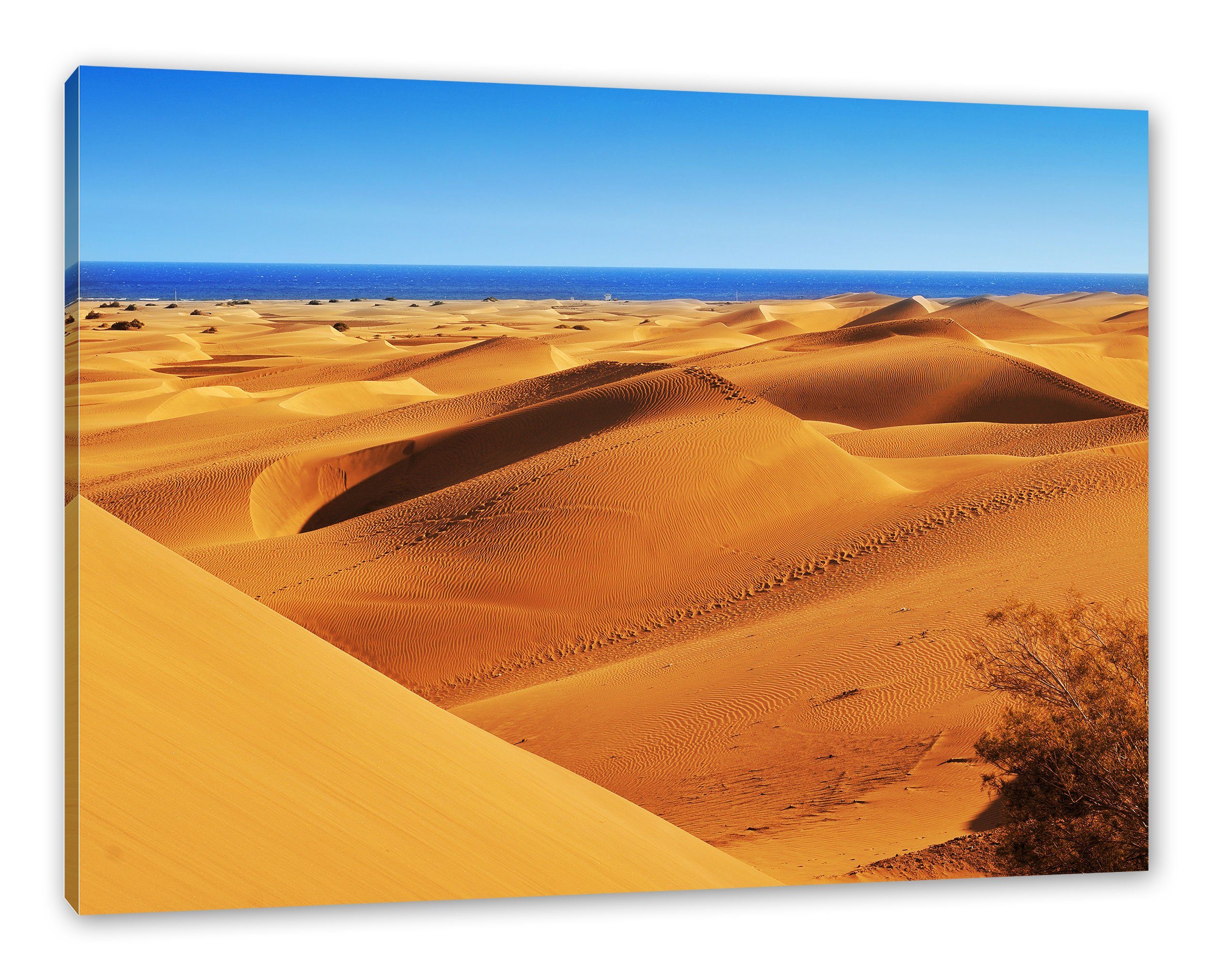 Pixxprint Leinwandbild Wüste am Meer, Wüste am Meer (1 St), Leinwandbild fertig bespannt, inkl. Zackenaufhänger