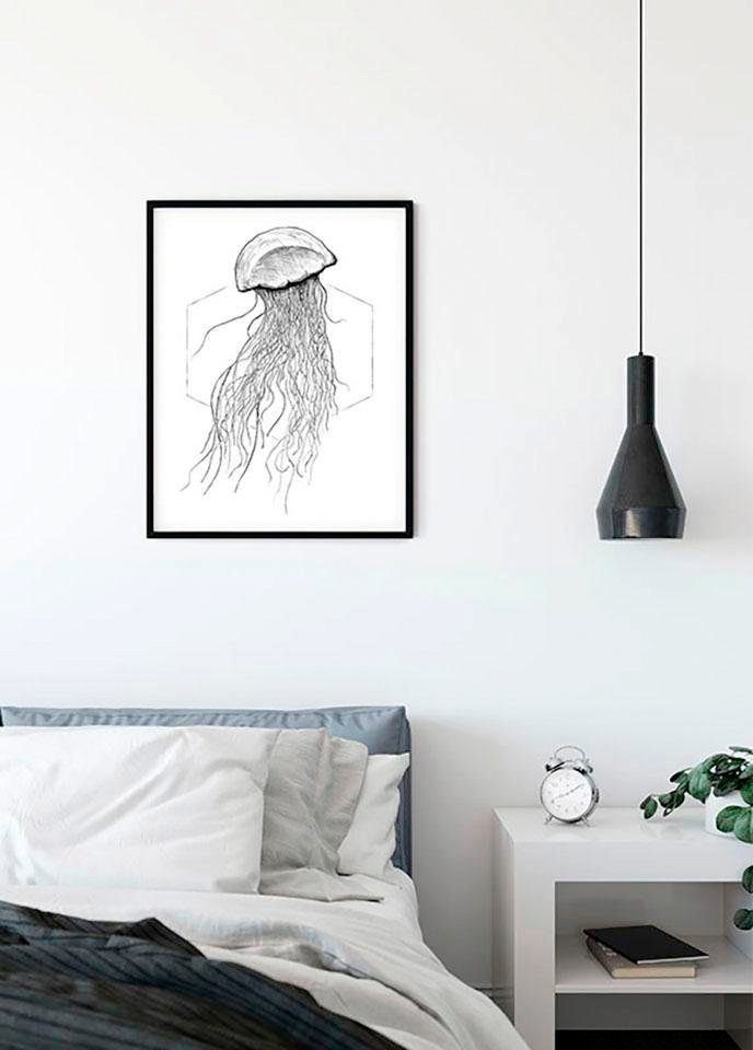 Komar Poster Jellyfish St), (1 Kinderzimmer, White, Tiere Wohnzimmer Schlafzimmer