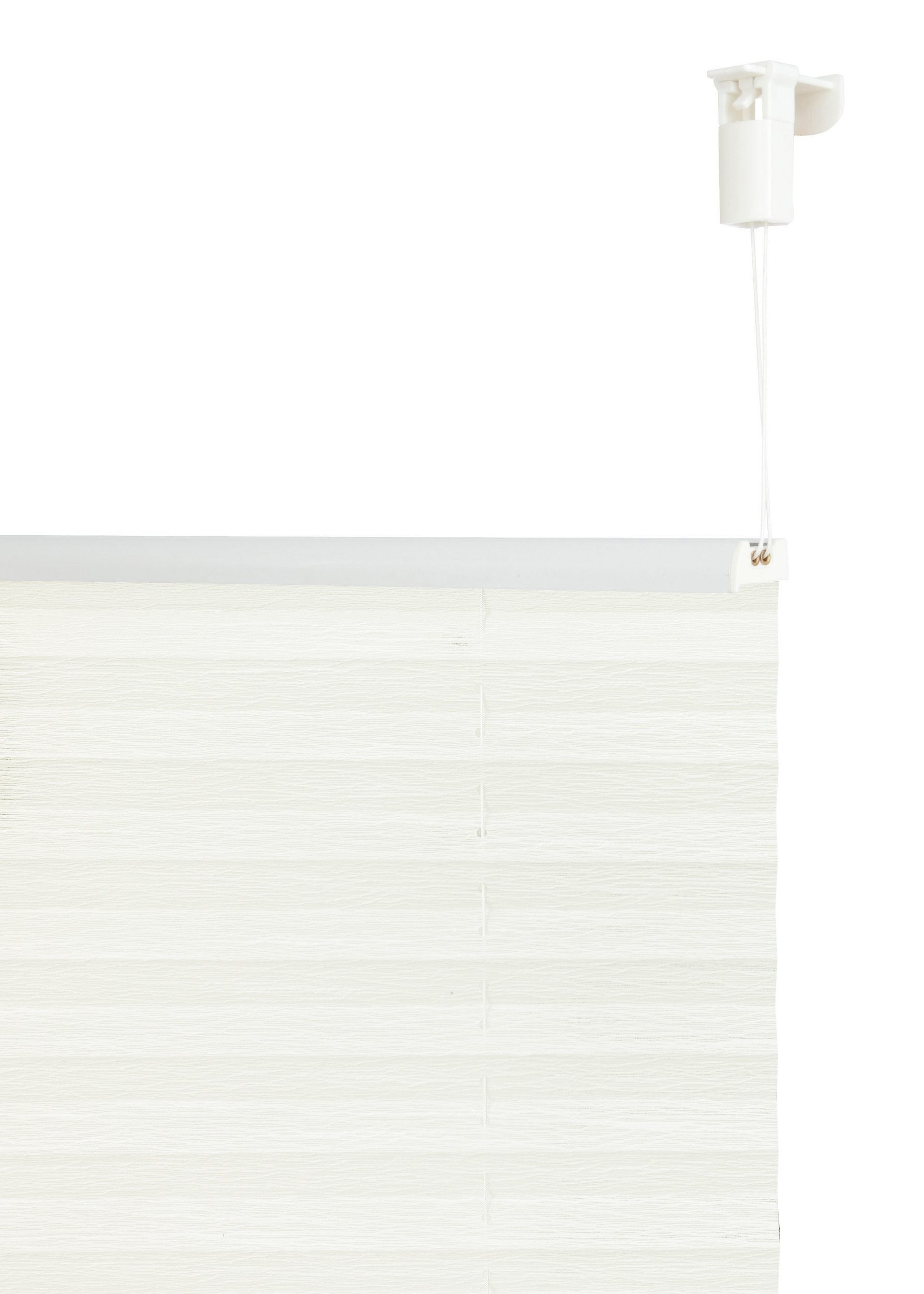 OTTO home Plissee ZANNIE, Lichtschutz, ohne Bohren, verspannt, Klemmfix, mit feiner Linienstruktur, zeitlos, für Fenster & Tür - NEUHEIT!