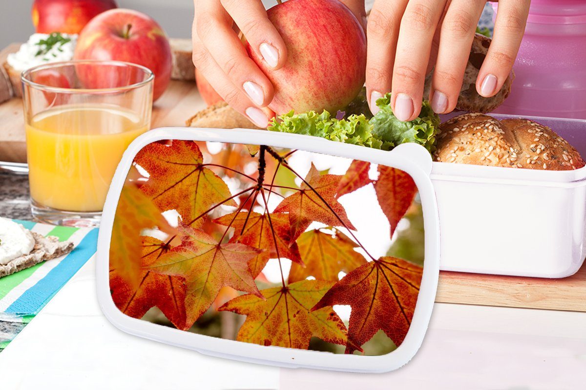 MuchoWow Lunchbox Herbstzweige Blätter Jungs Brotdose, für Mädchen Kunststoff, (2-tlg), Jahreszeiten für Kinder weiß Landleben, - - und - Brotbox und Erwachsene