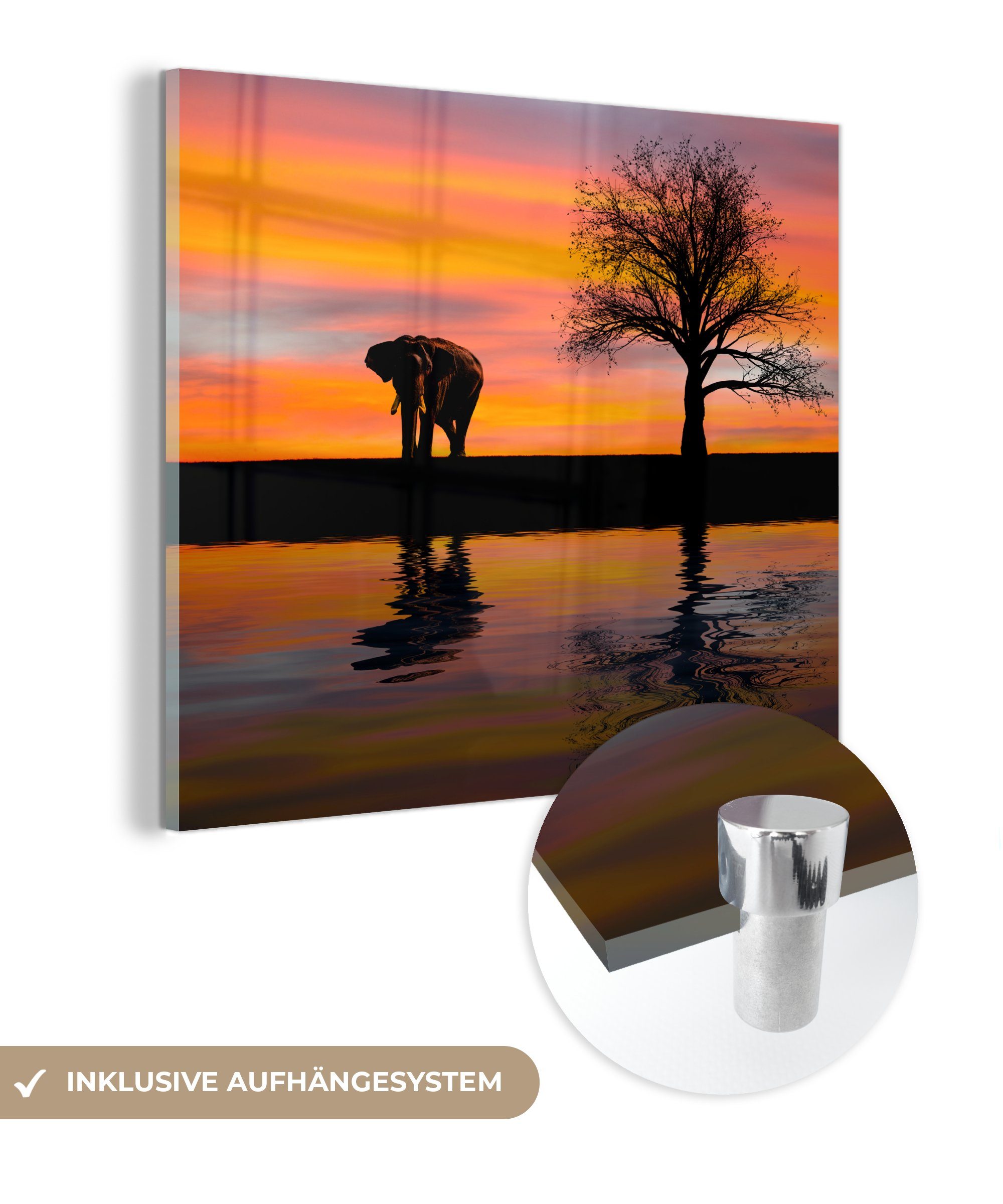 Sonnenuntergang, - - und Wanddekoration Glas (1 auf St), Wandbild Foto MuchoWow Bilder auf Acrylglasbild Glasbilder Glas Elefant -