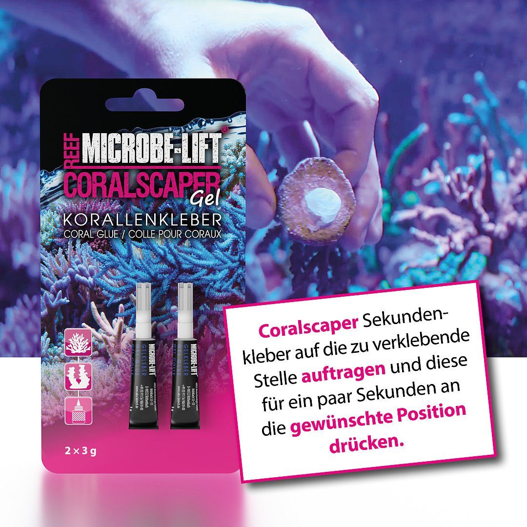 ARKA Biotechnologie GmbH Aquariendeko Microbe-Lift Coralscaper Korallenkleber Sekundenkleber 2 x 3g