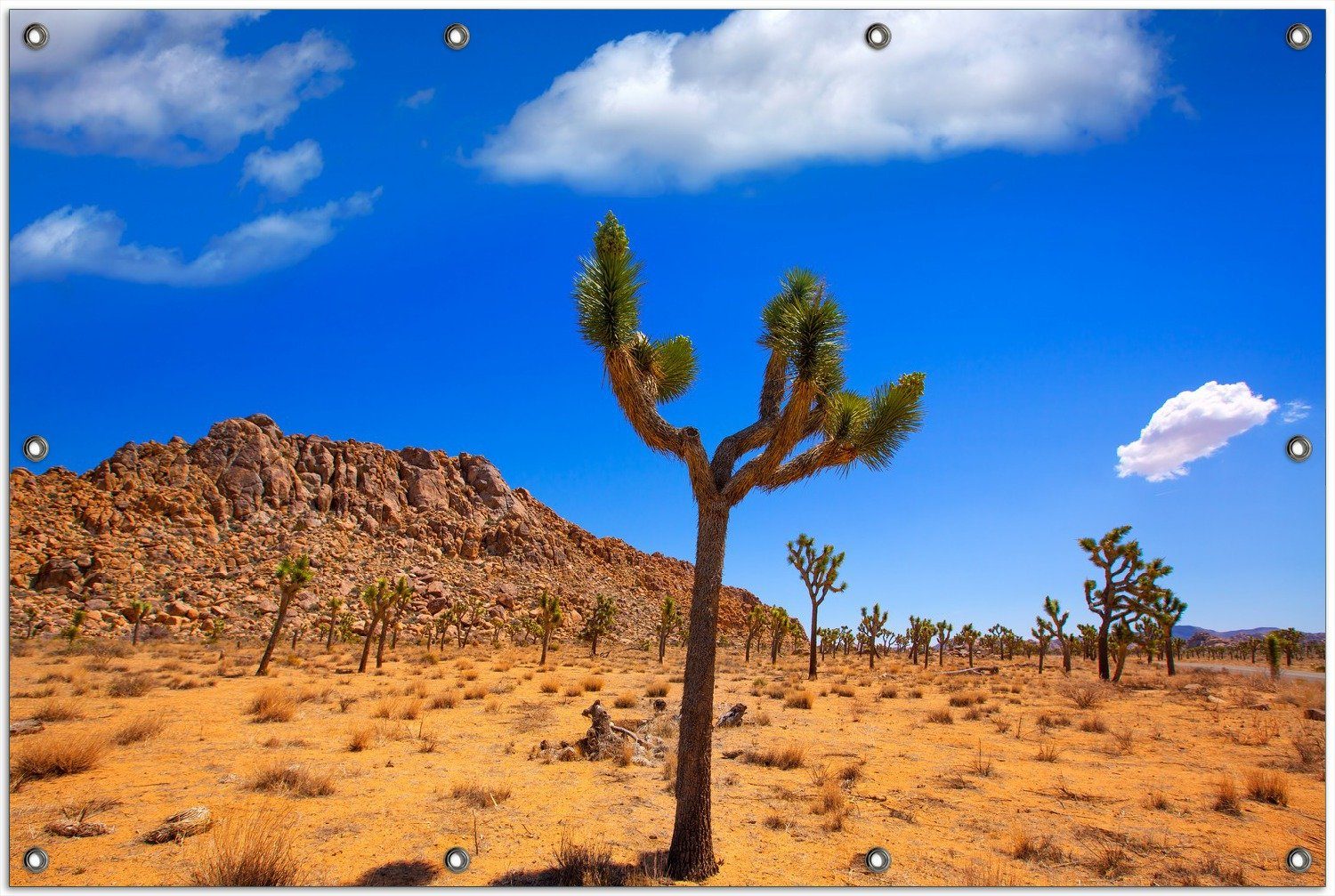 Thumbnail - Wallario Sichtschutzzaunmatten Palmlilie im Nationalpark Yucca Valley  Wüstenlandschaft, rund