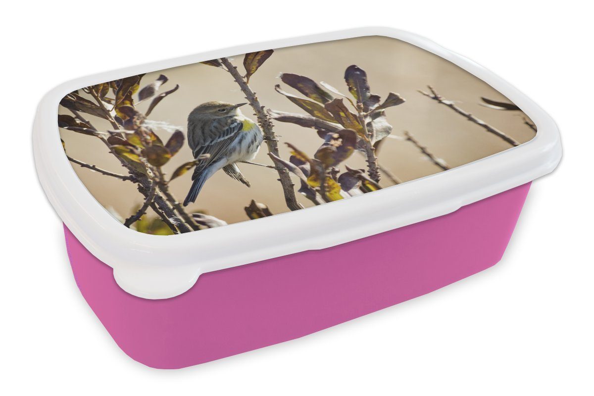 MuchoWow Lunchbox Vogel zwischen einem Zweig mit Blättern, Kunststoff, (2-tlg), Brotbox für Erwachsene, Brotdose Kinder, Snackbox, Mädchen, Kunststoff rosa