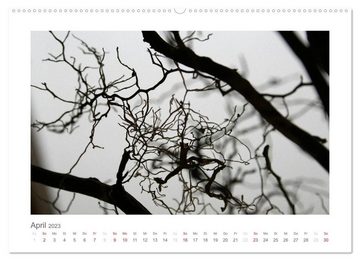 CALVENDO Wandkalender einfach schwarz-weiß (Premium, hochwertiger DIN A2 Wandkalender 2023, Kunstdruck in Hochglanz)