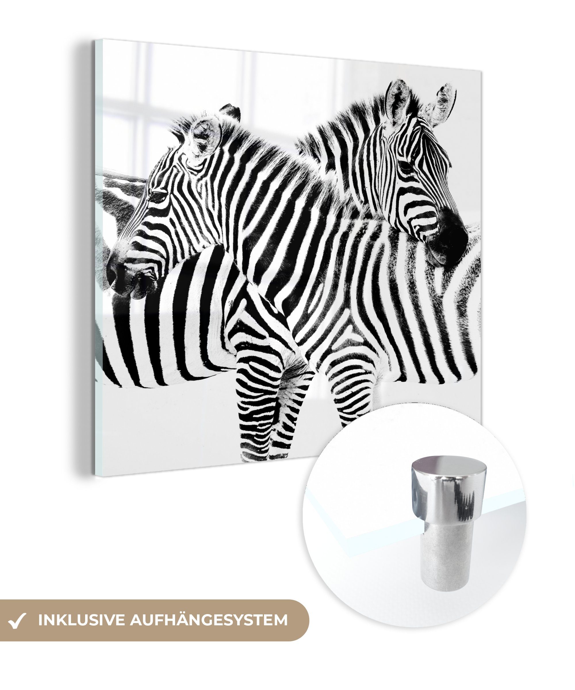 MuchoWow Acrylglasbild Zwei Zebras auf weißem Hintergrund, (1 St), Glasbilder - Bilder auf Glas Wandbild - Foto auf Glas - Wanddekoration