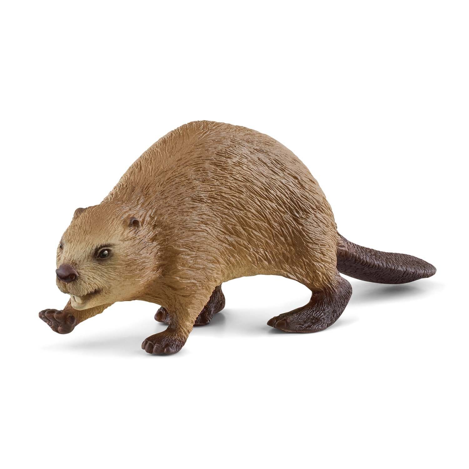 Schleich® Spielwelt Schleich 14855 - Biber - Wild Life