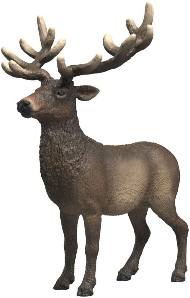 Schleich® Spielfigur WILD LIFE, Amerikanischer Rothirsch (14992)