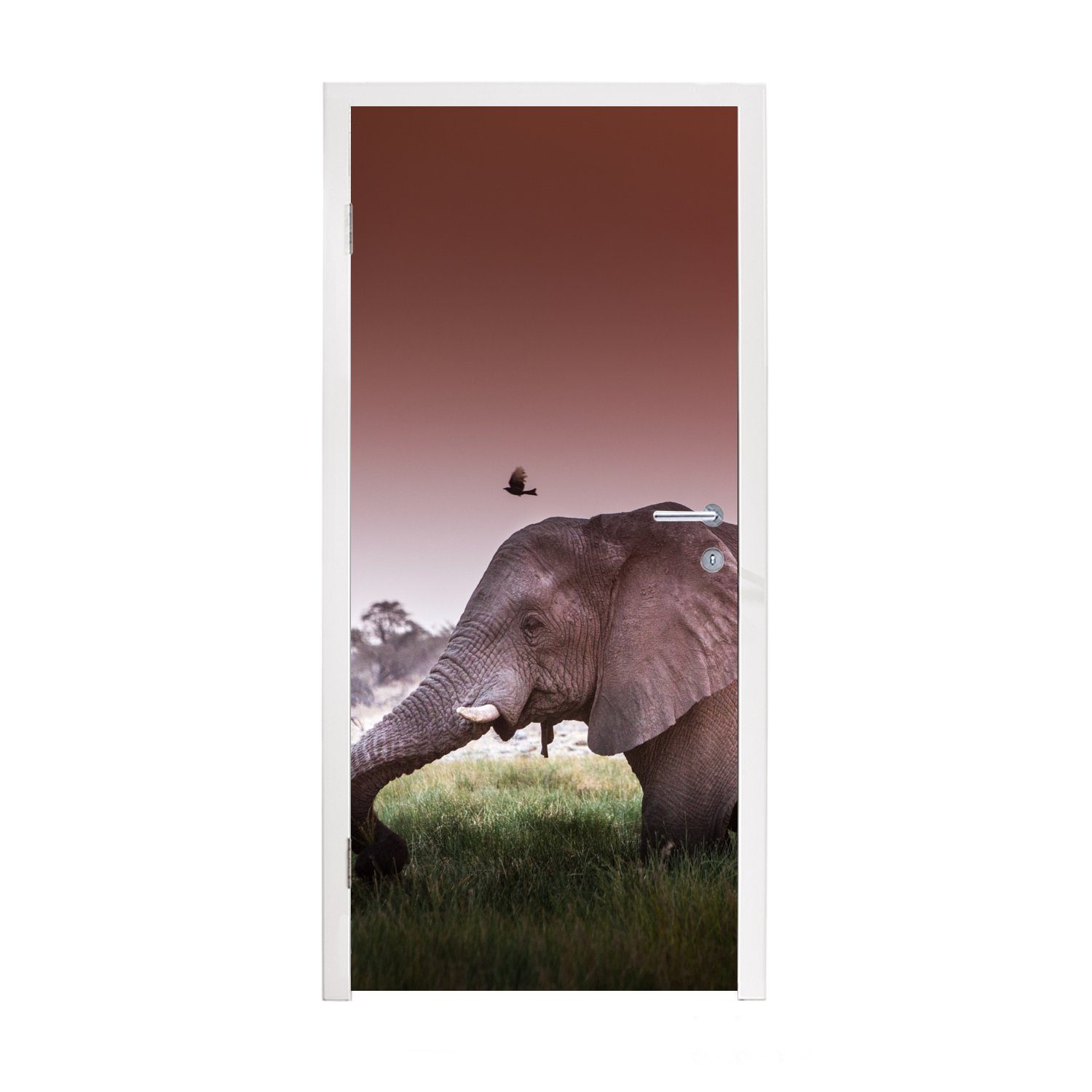 MuchoWow Türtapete Elefant - Gras - Sonne - Tiere, Matt, bedruckt, (1 St), Fototapete für Tür, Türaufkleber, 75x205 cm