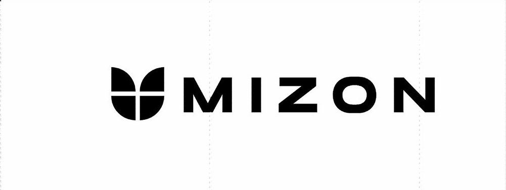 Mizon