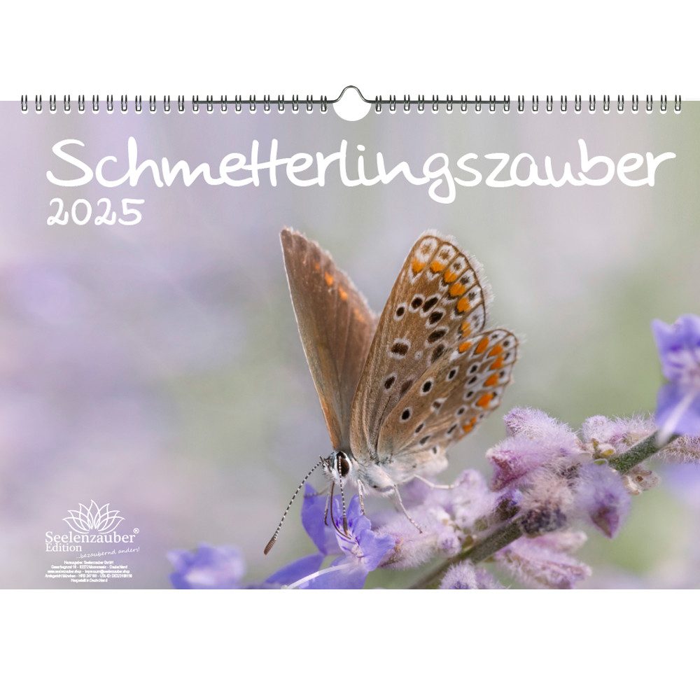 Schmetterlingszauber: Kostenlose Ausmalbilder für Groß und Klein – Kreativität, die Flügel verleiht!