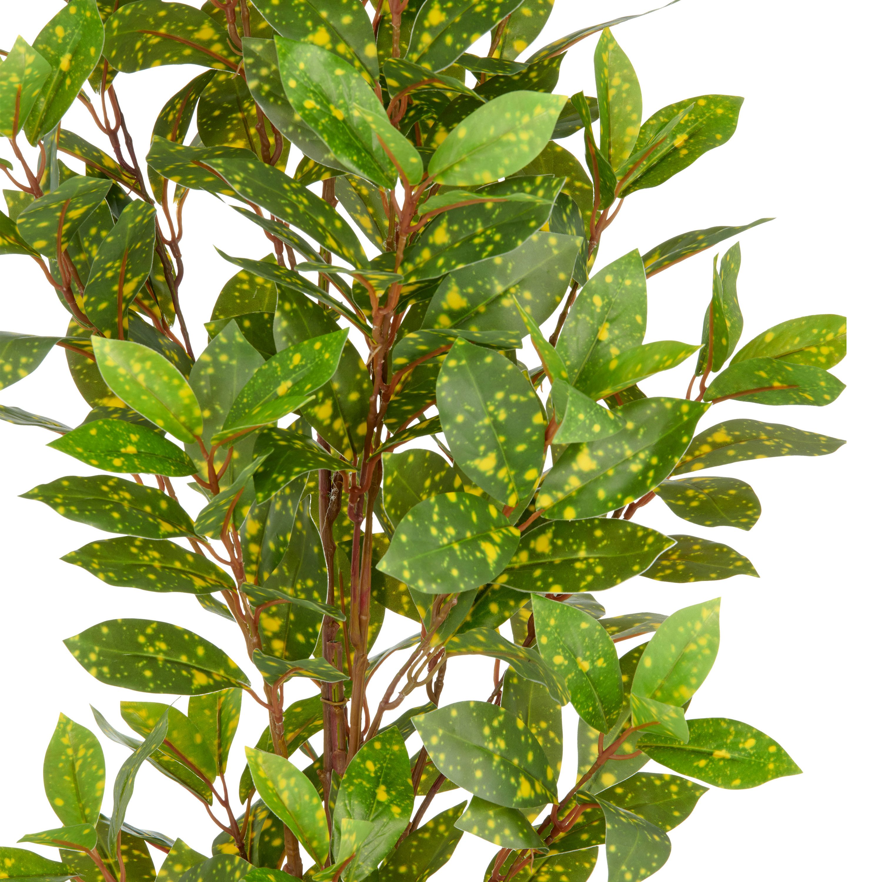 Kunstpflanze Acuba, Creativ green, Höhe 90 cm, mit schönem Blattwerk günstig online kaufen